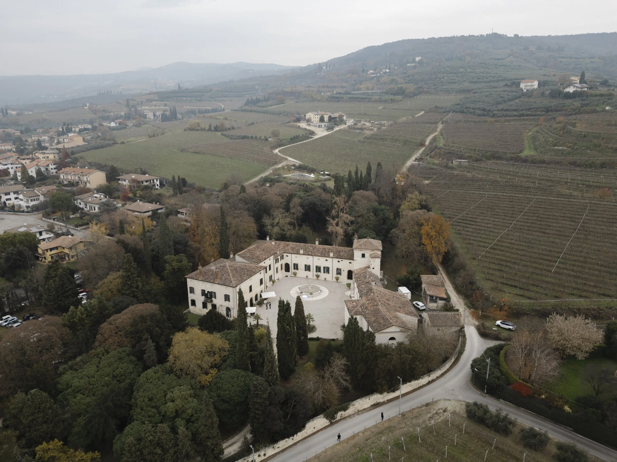 A vineyard landscape with rolling hills, scattered houses, a winding road, and a large white estate building at the forefront.