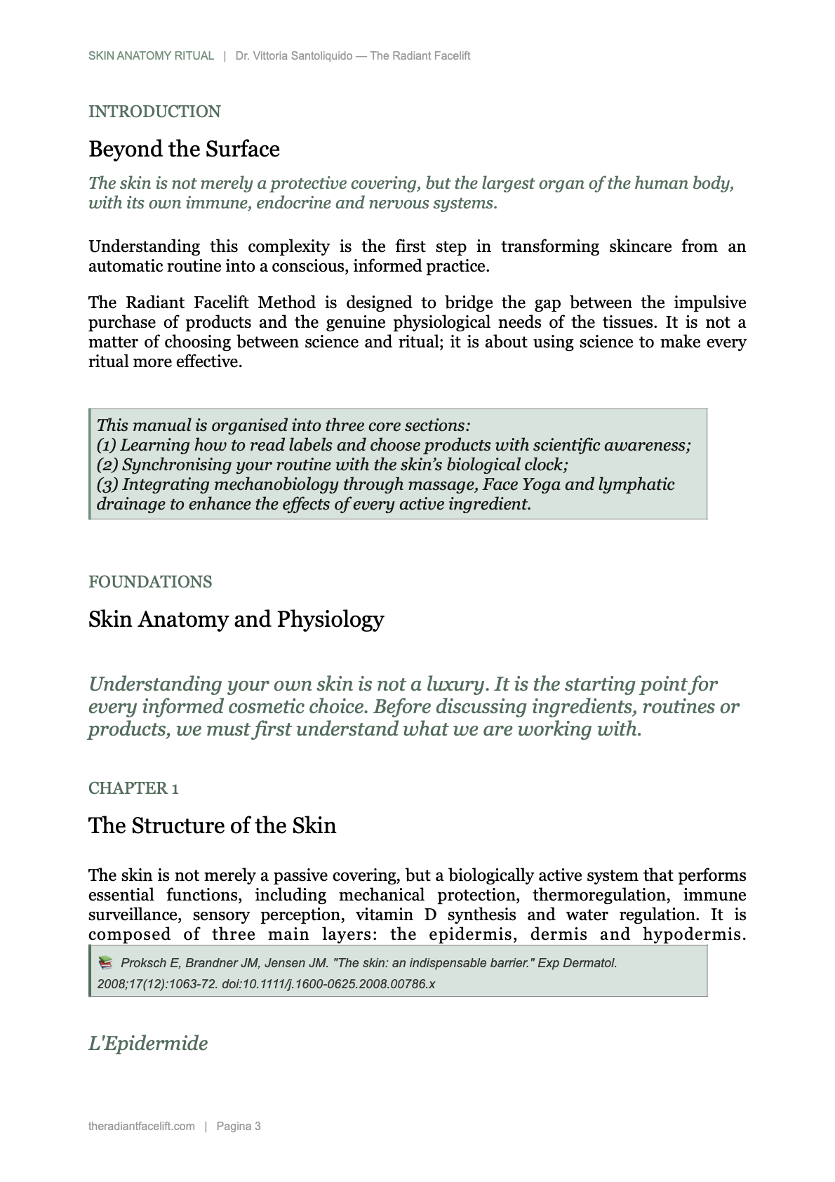 Skin Anatomy Ritual ENG.3.png