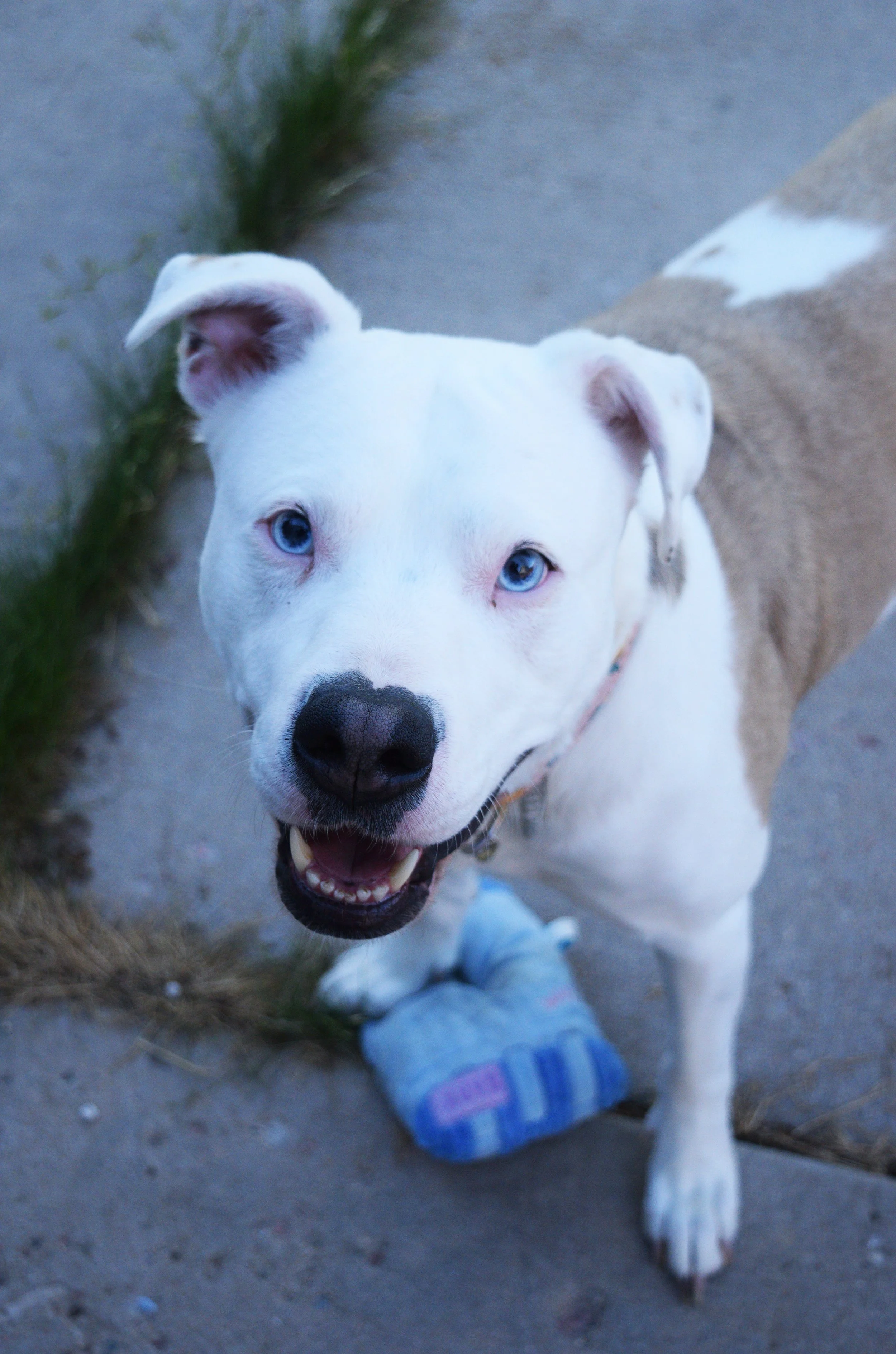 DSC_0448 maggie.jpg