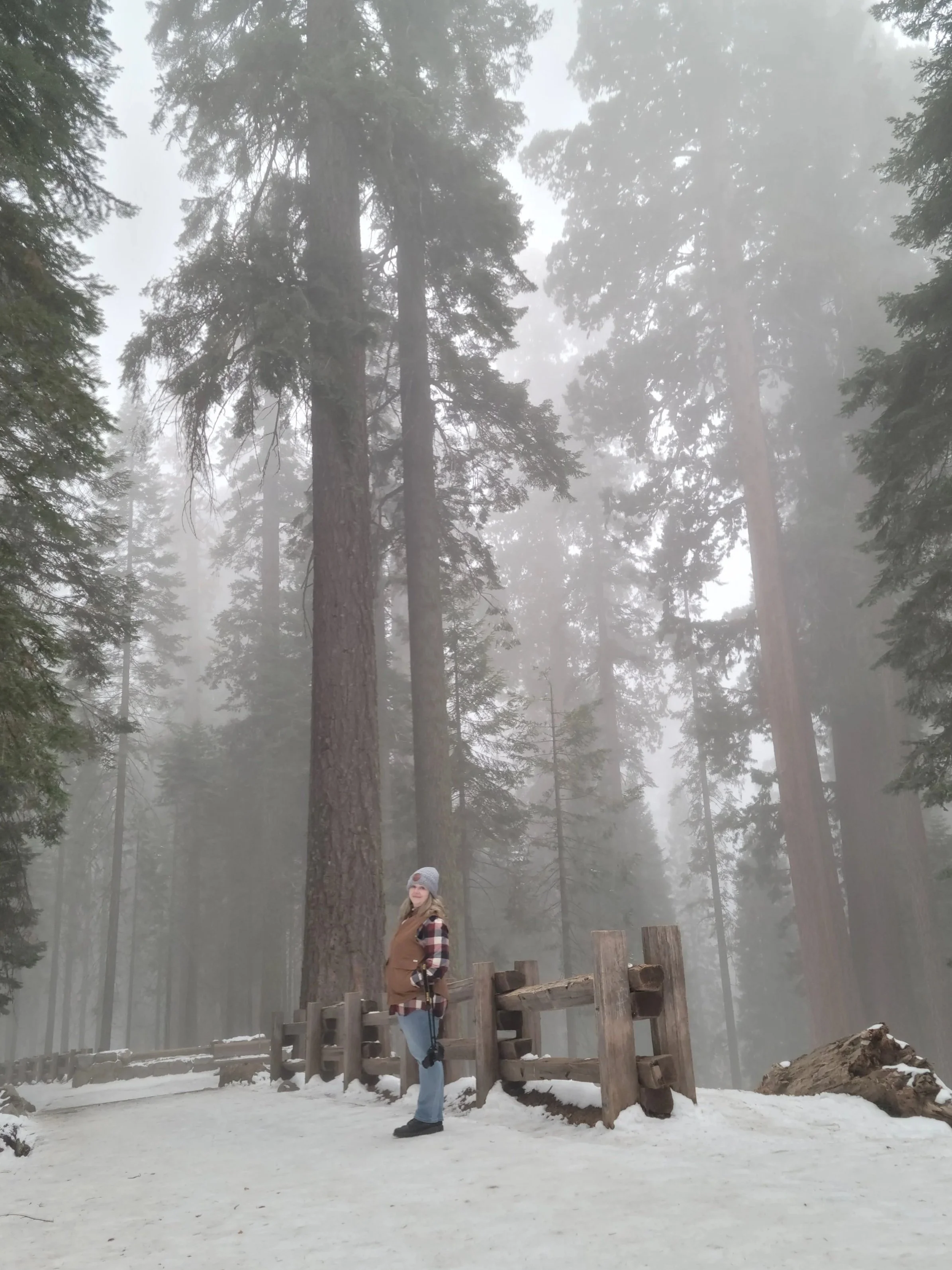 A woman standing on a snow-covered ground in a forest with tall trees and fog, next to a wooden fence and logs.