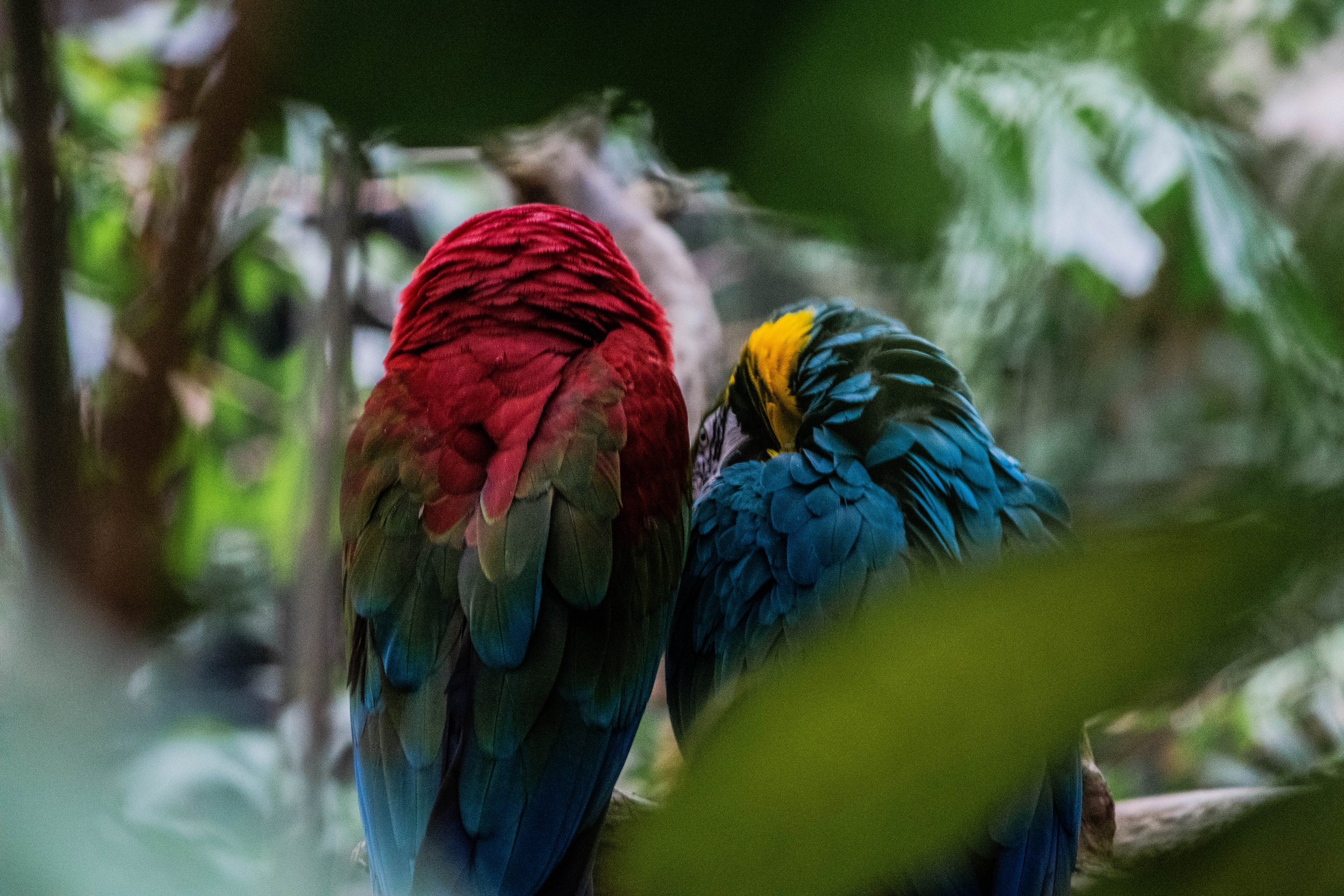 DSC_0299.jpg