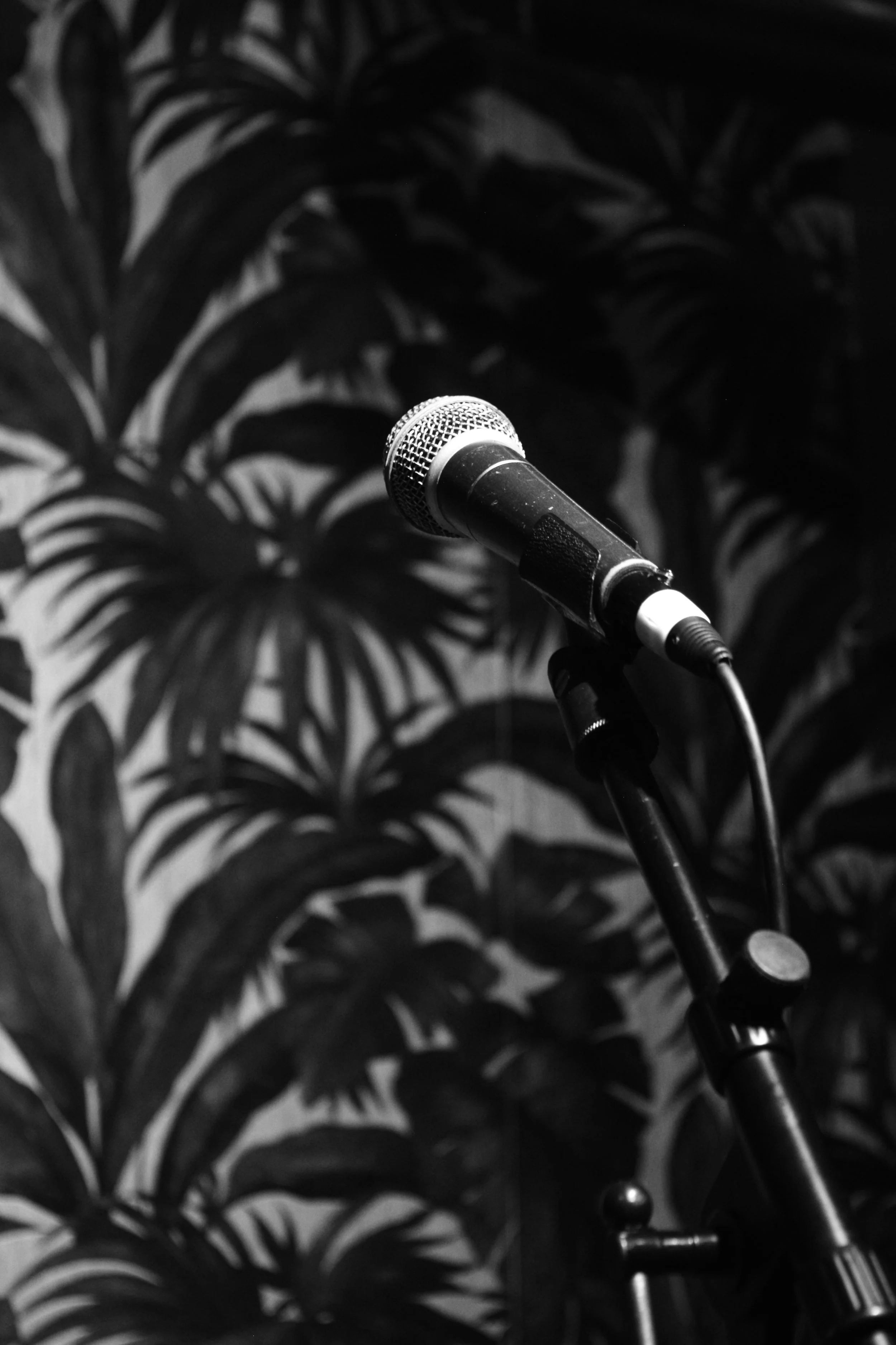 DSC_0014 Mic B&W.jpg