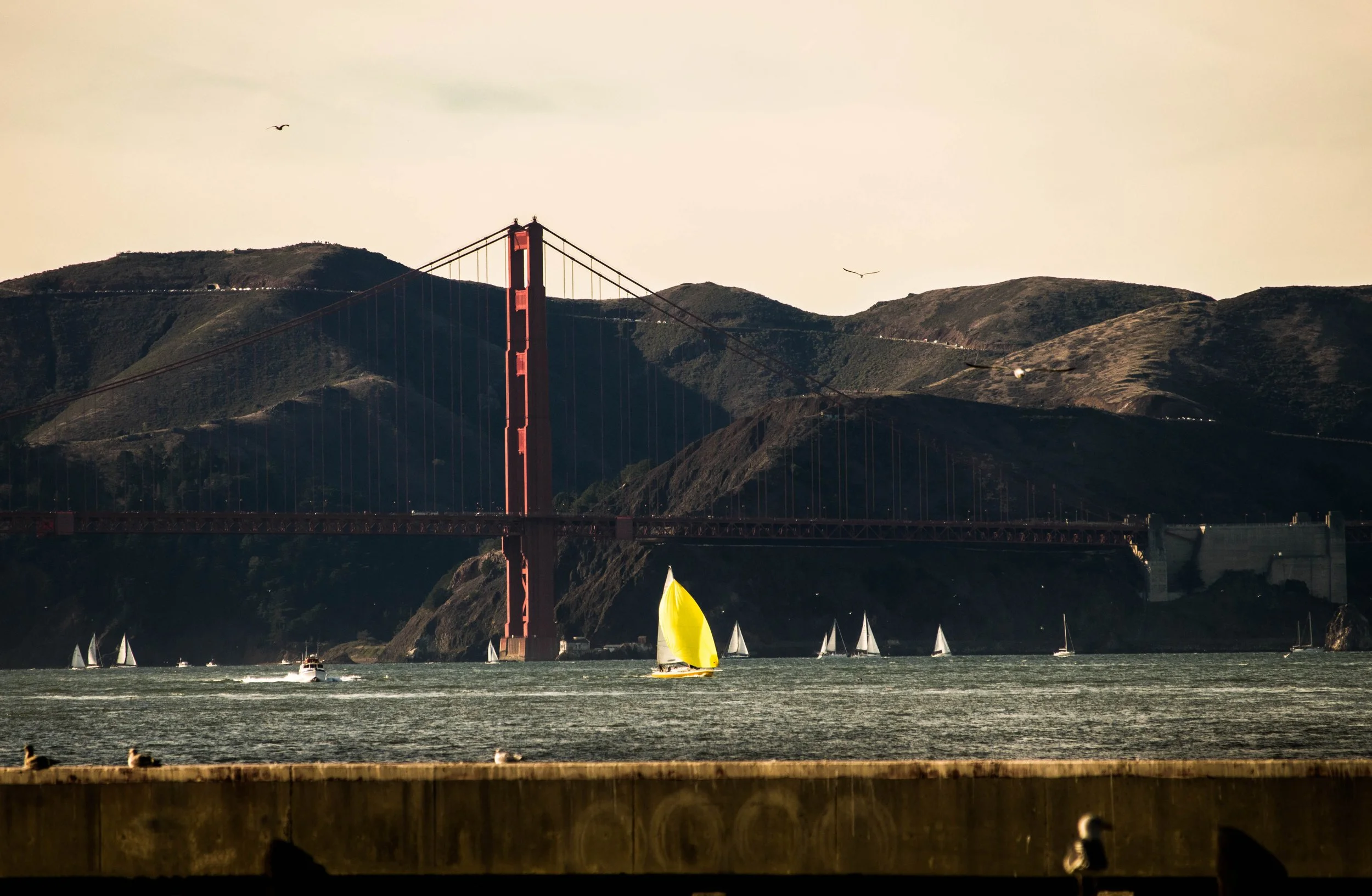 Yellow sailboat in bay.jpg