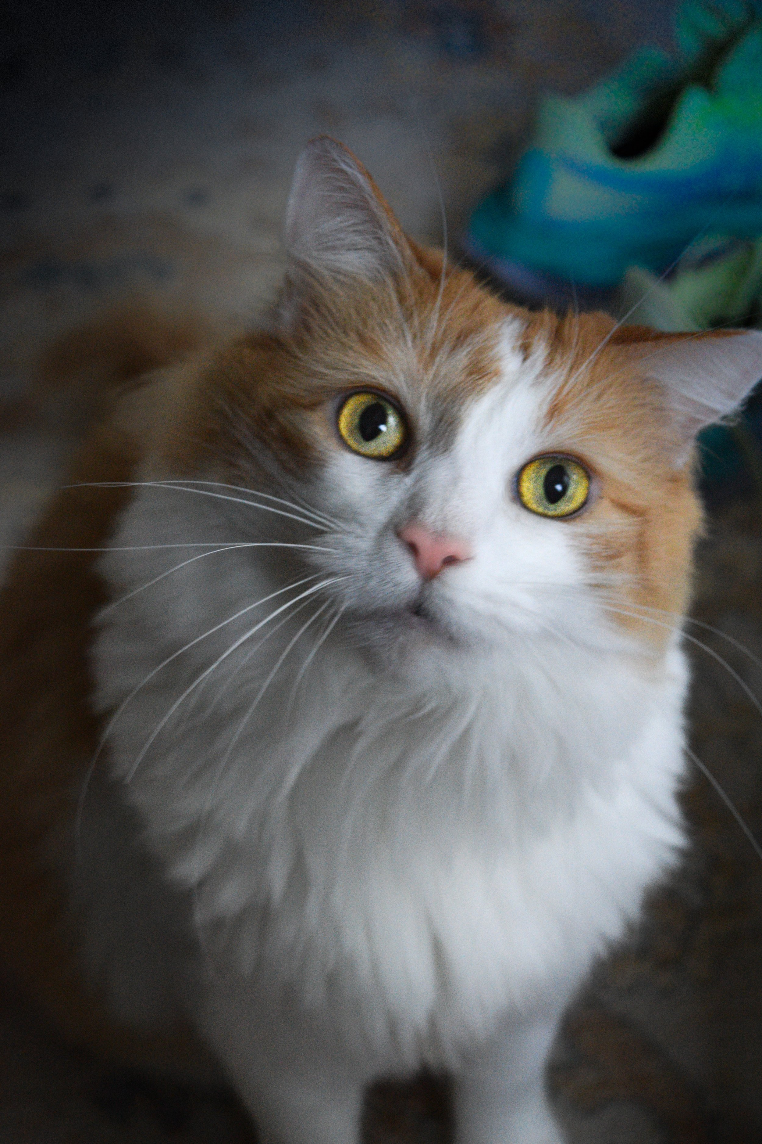 DSC_0009 lou.jpg
