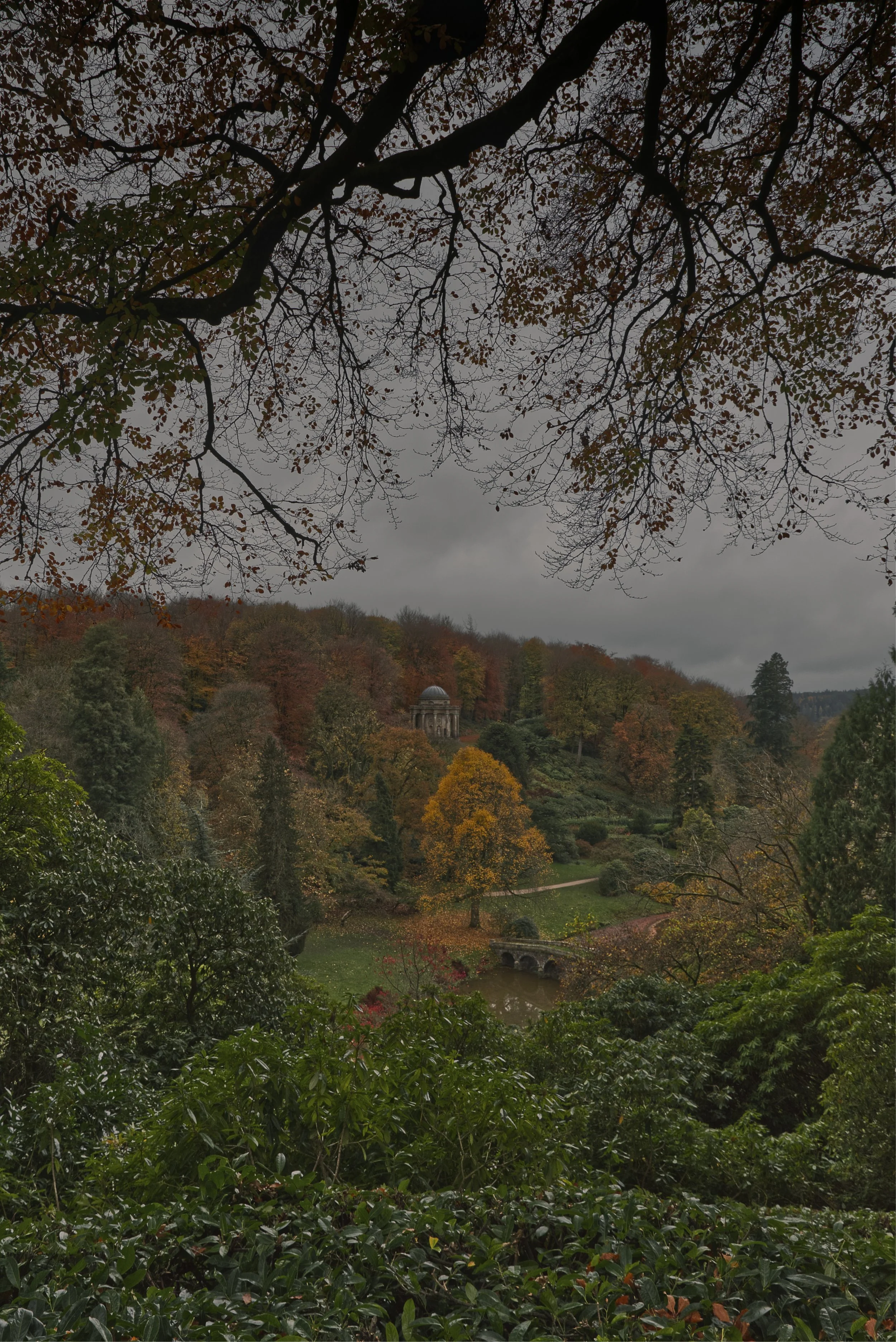 Autumn Canopy at Stourhead, Wiltshire