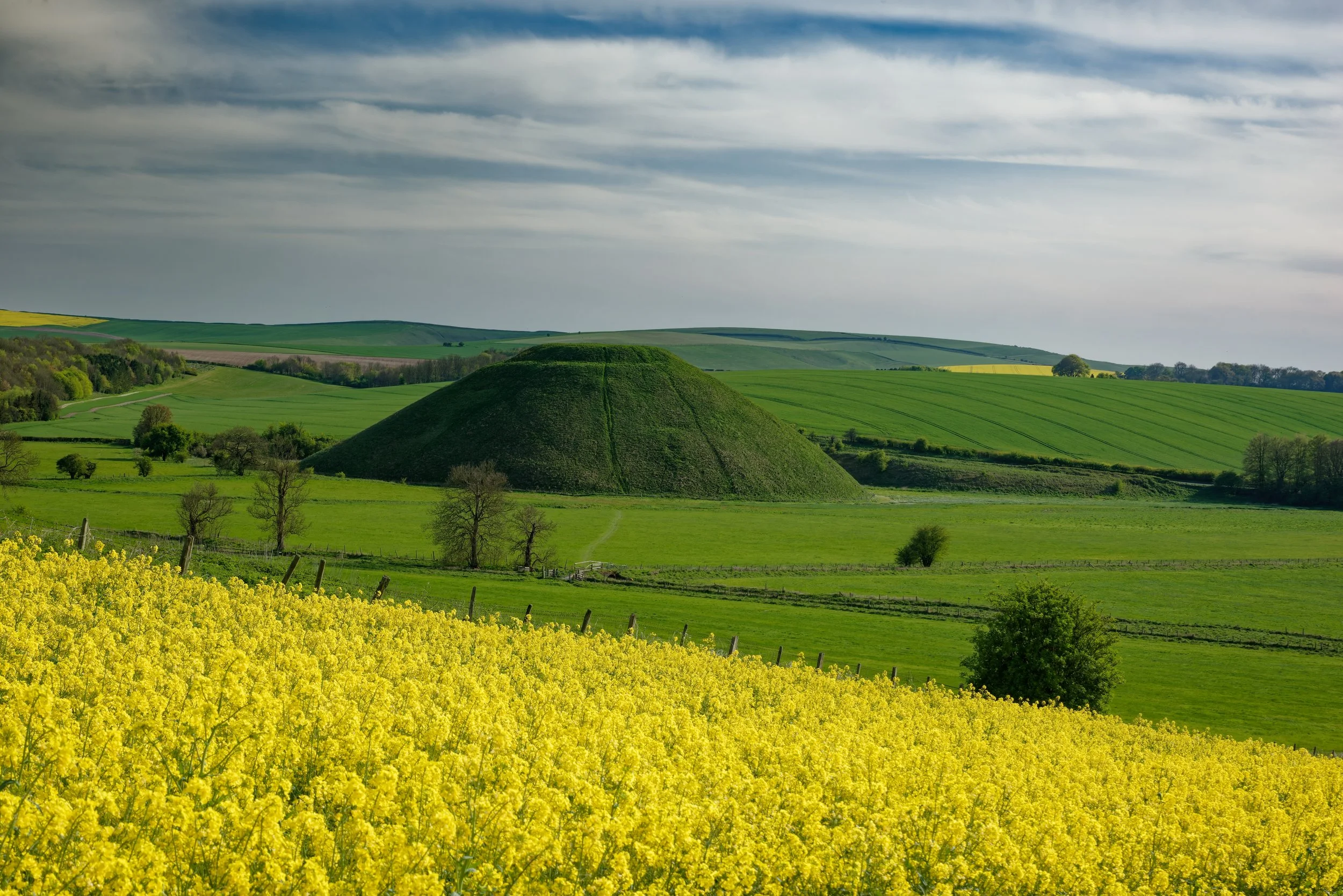 Spring at Silbury Hill, Wiltshire