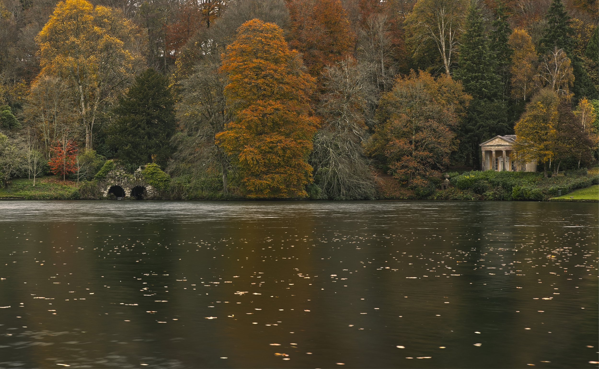 Golden Shoreline at Stourhead, Wiltshire