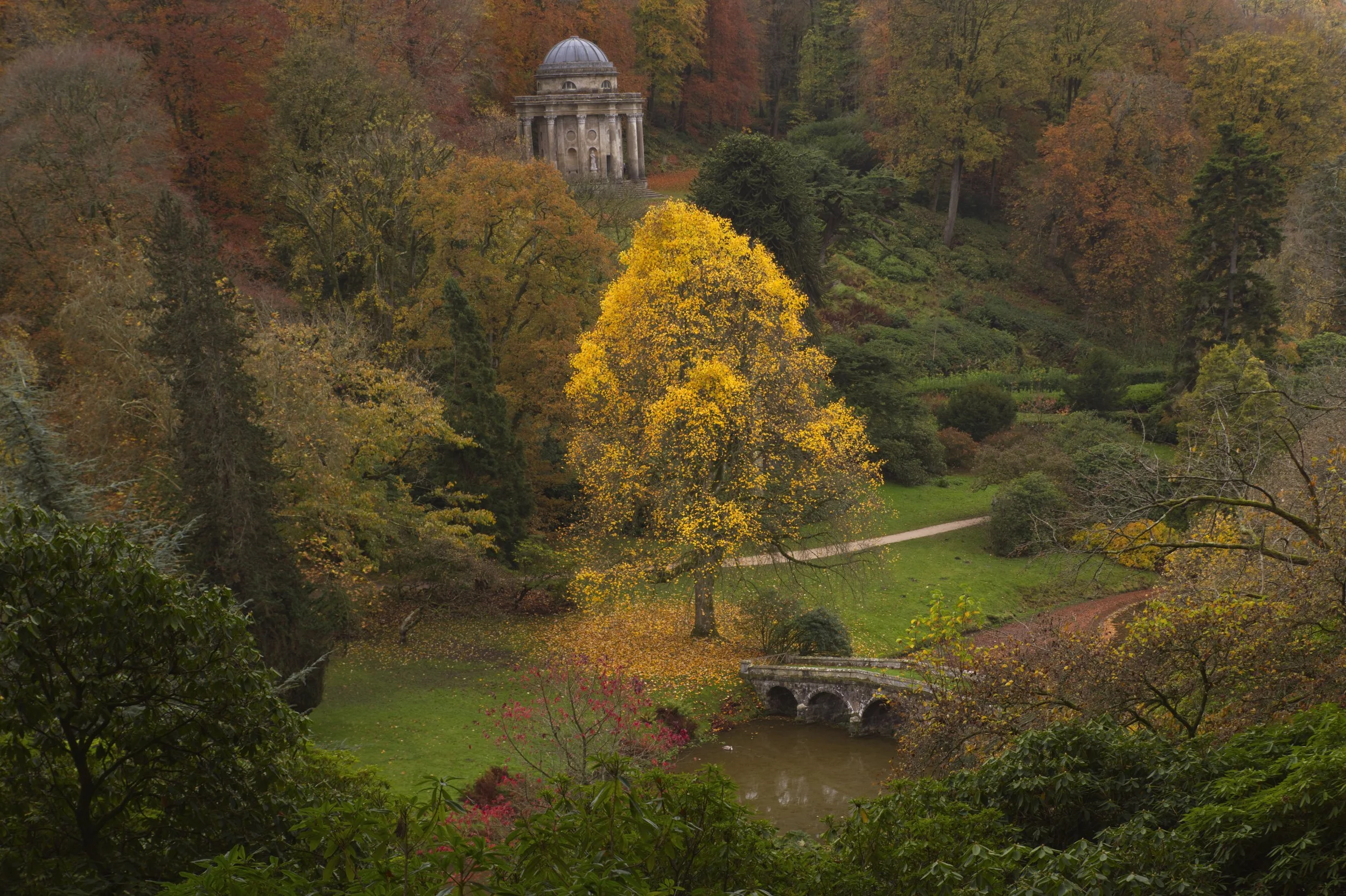 A Golden Moment at Stourhead, Wiltshire