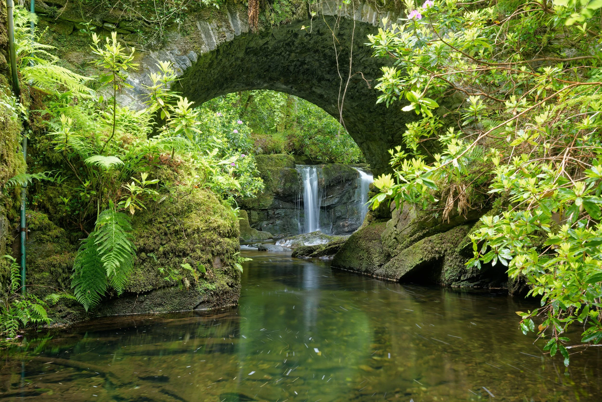Eire26_008.jpg