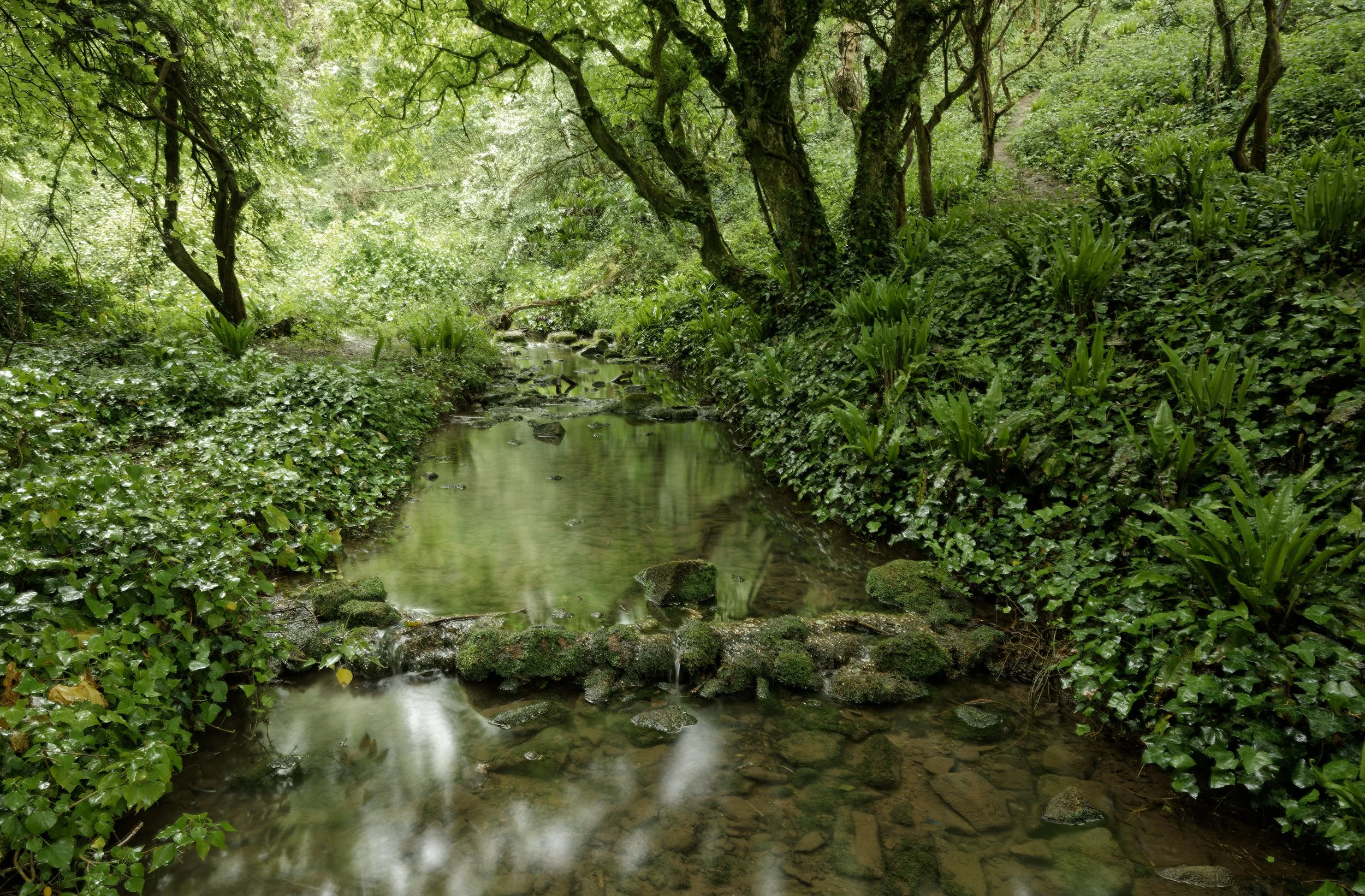 A Quiet Passage Through Marcross Brook, South Wales