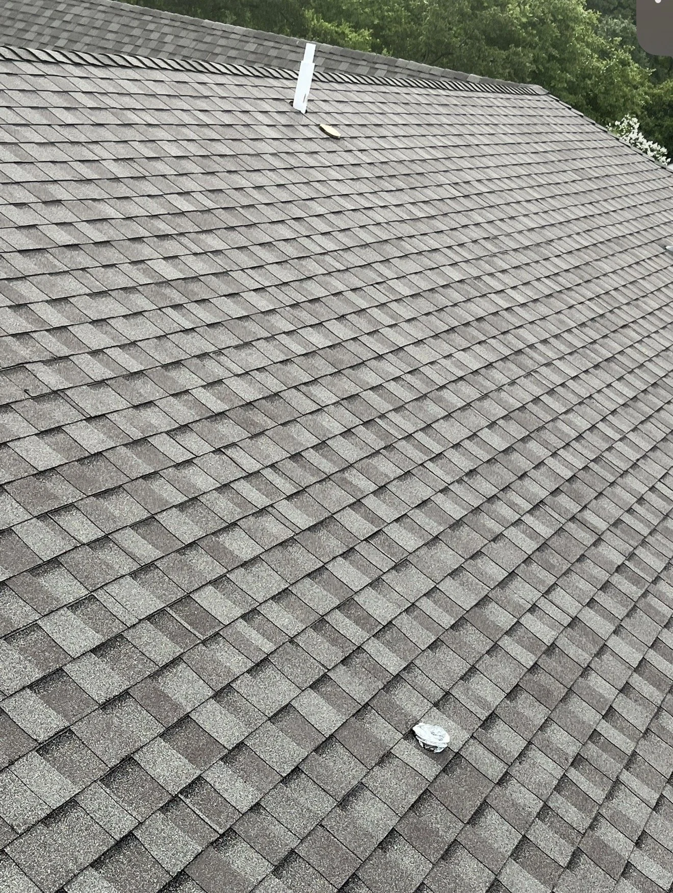 View of a rooftop with gray asphalt shingles, a white vent pipe, and a small piece of crumpled paper or trash on the shingles, with green trees in the background.