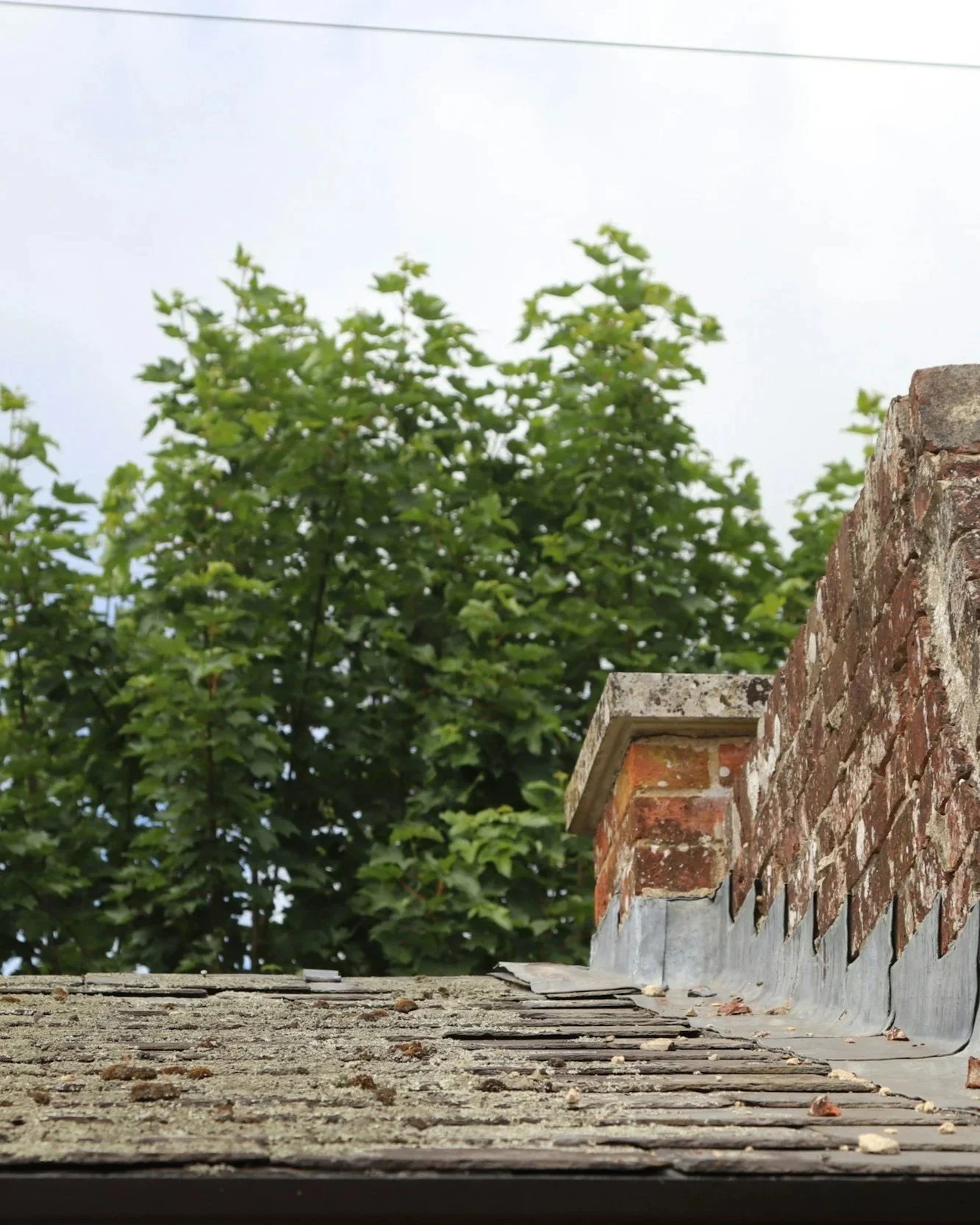 Close-up of a roof with weathered shingles and a brick chimney, with green leafy trees in the background under an overcast sky.