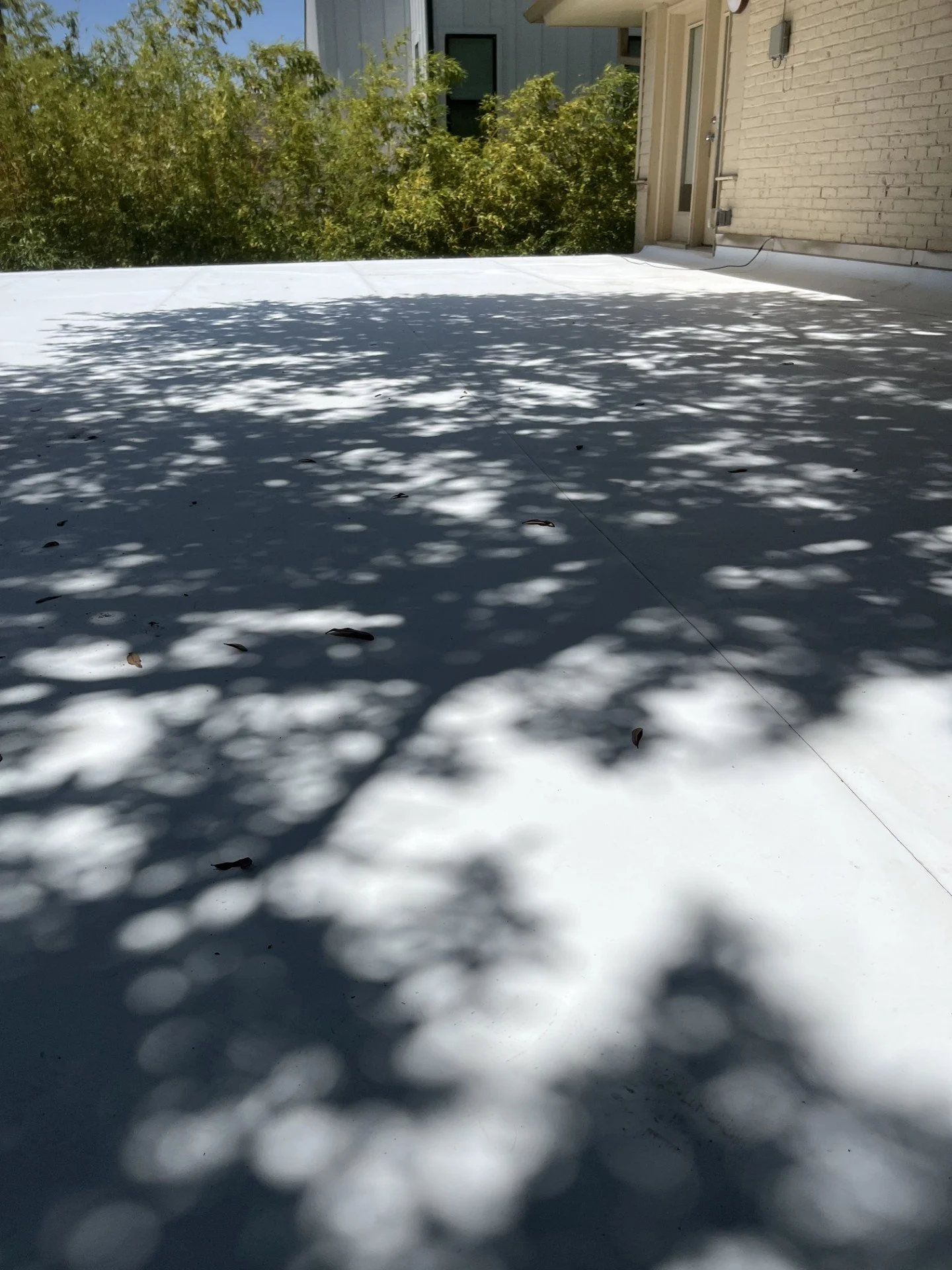 Shadows of trees on a flat white rooftop outside a residential building with a brick exterior and a door.
