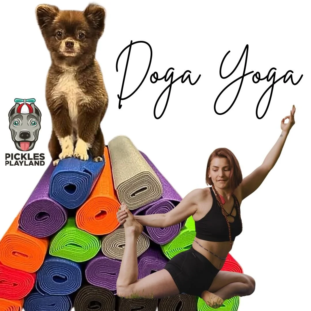 Doga Yoga