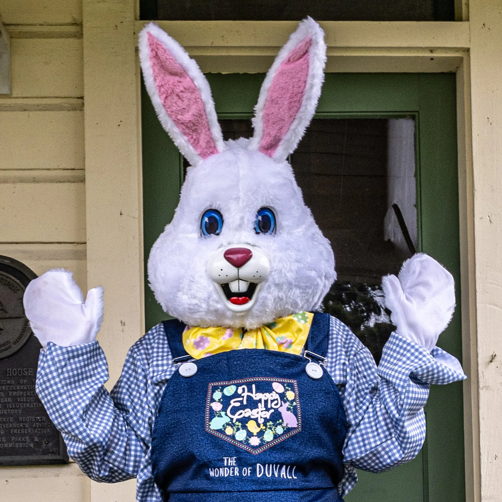 Easter Bunny Photos