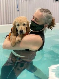 A person wearing a black mask holding a golden retriever puppy in a pool.