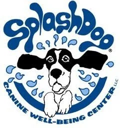 SplashDog Canine Well-Being Center logo with a cartoon dog and water splash design