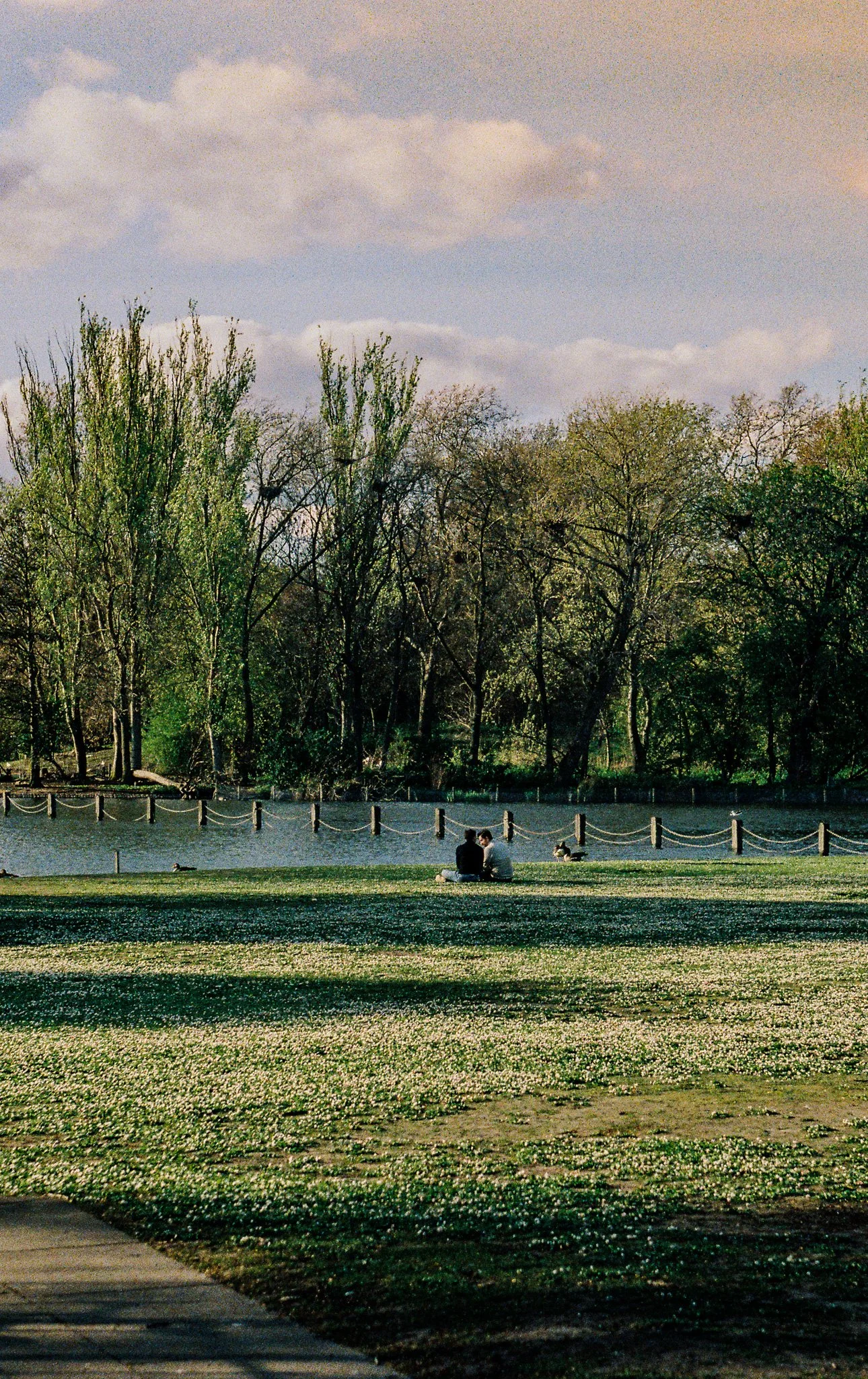 R1-01678-026A.jpg