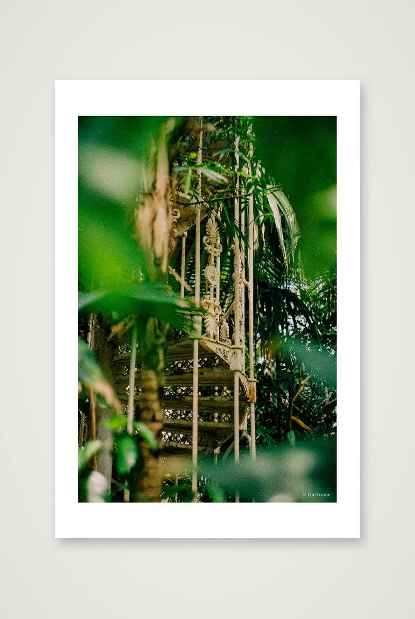 Greenhouse Stairs