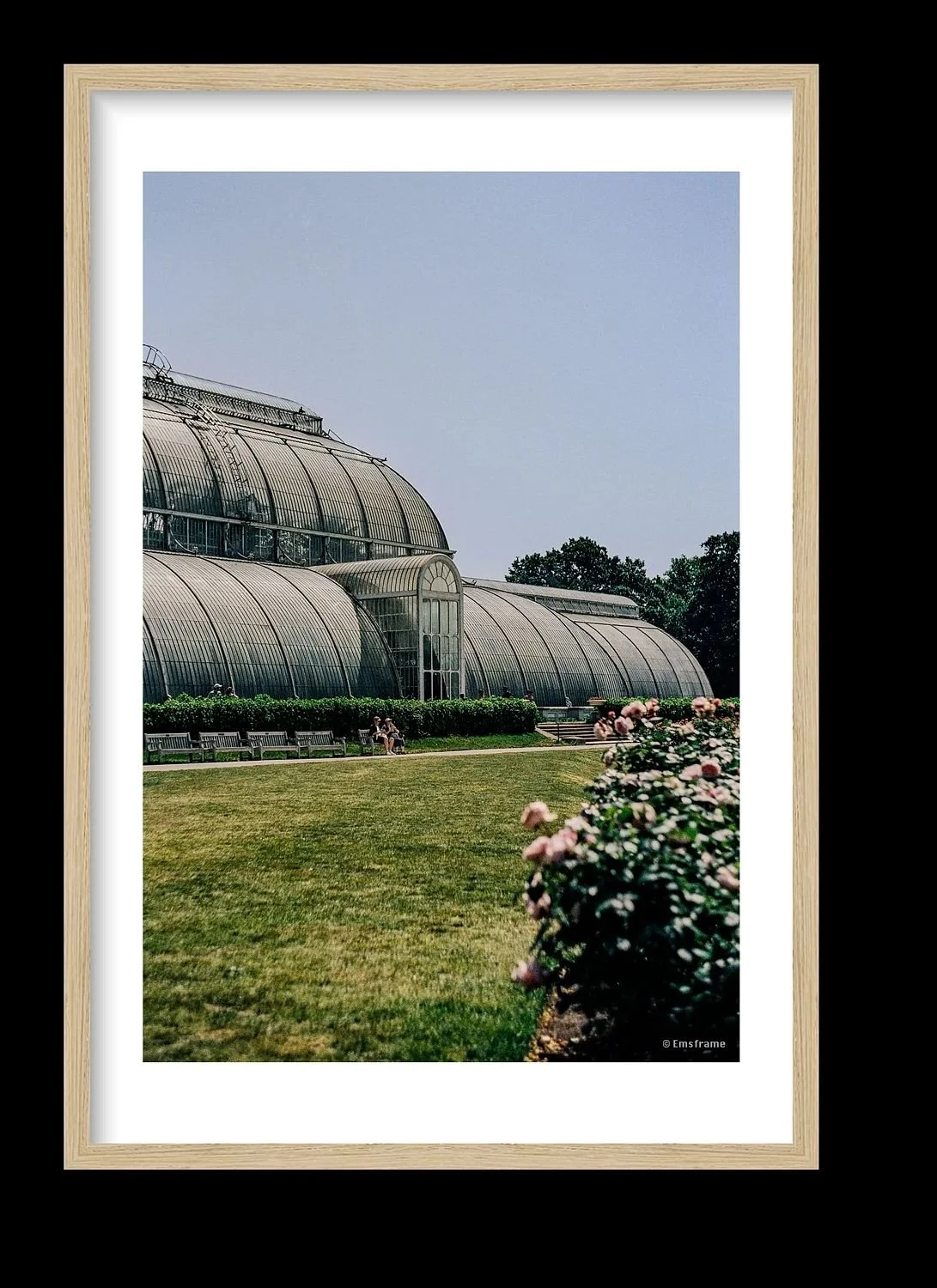 preview_79bbe140_a9661011.jpg