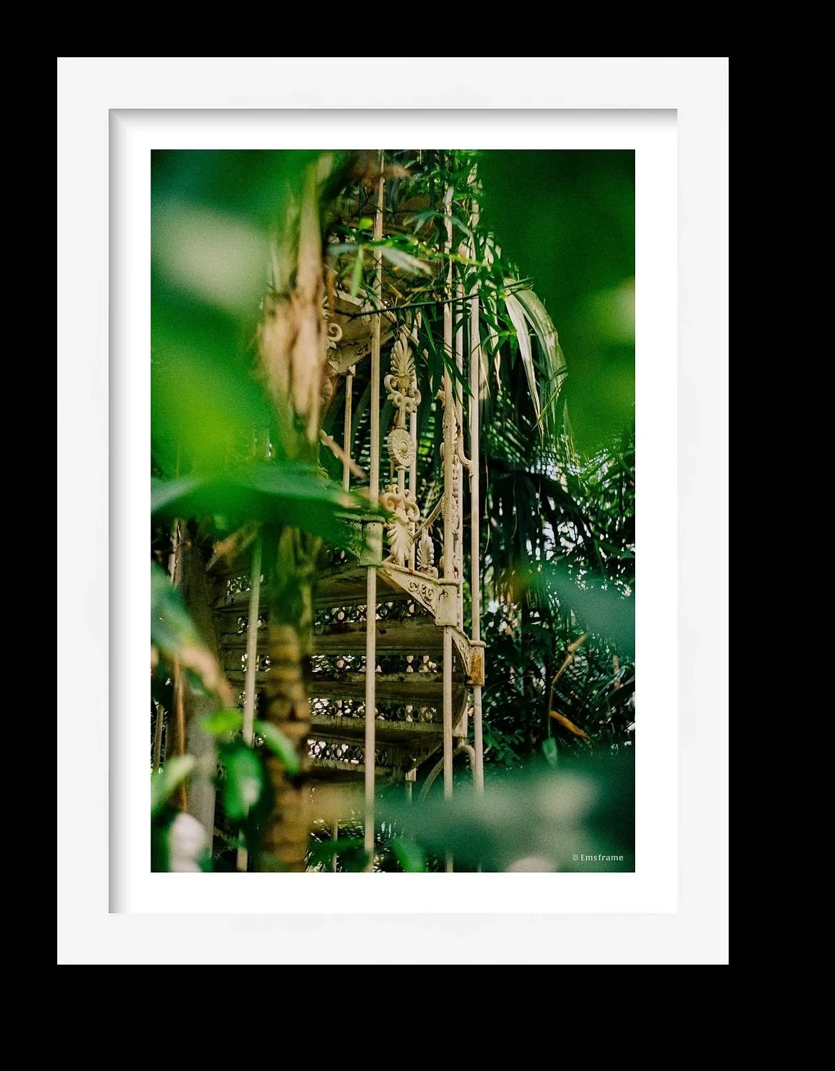 preview_f2449217_fd7890da.jpg
