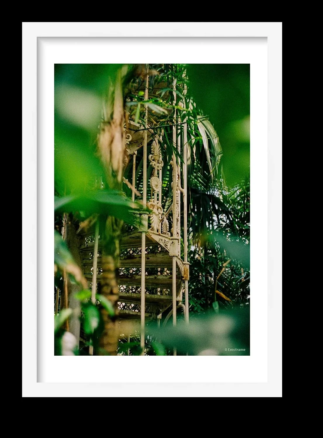 preview_92e5328d_b43a579f.jpg