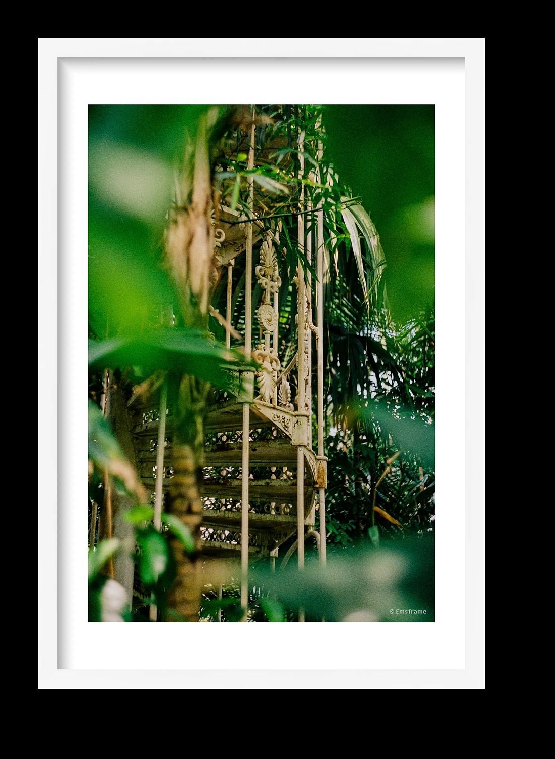 preview_858c709b_09c59296.jpg