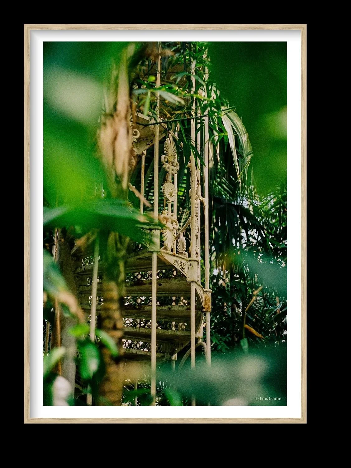 preview_70754482_ffaab362.jpg