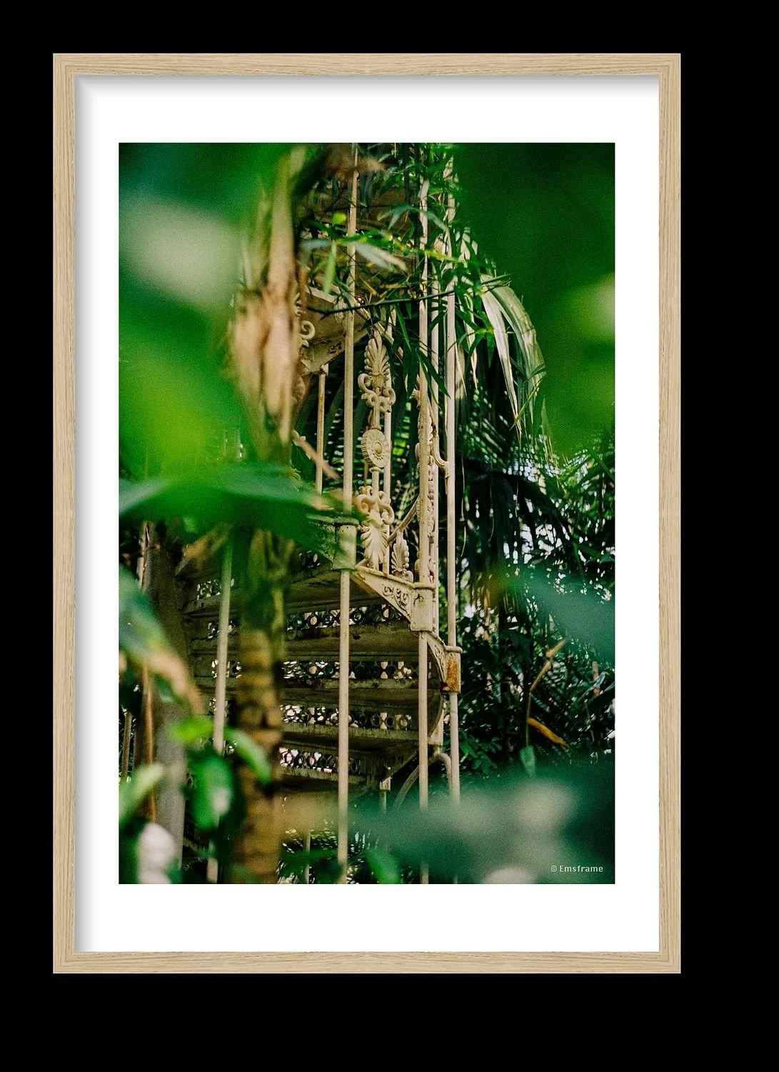 preview_48c6ae4d_a7204fb2.jpg