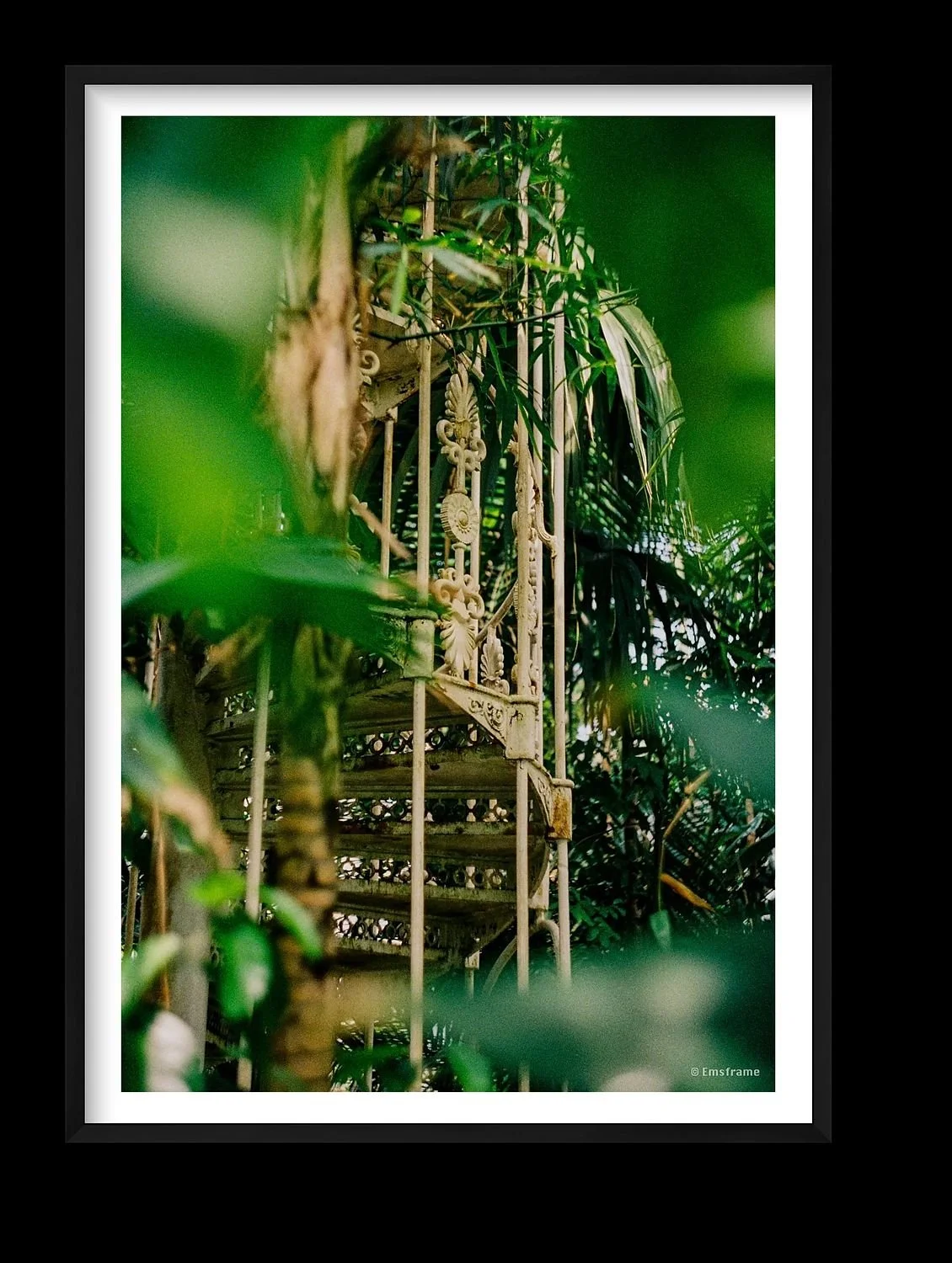 preview_2846db0f_740119d8.jpg