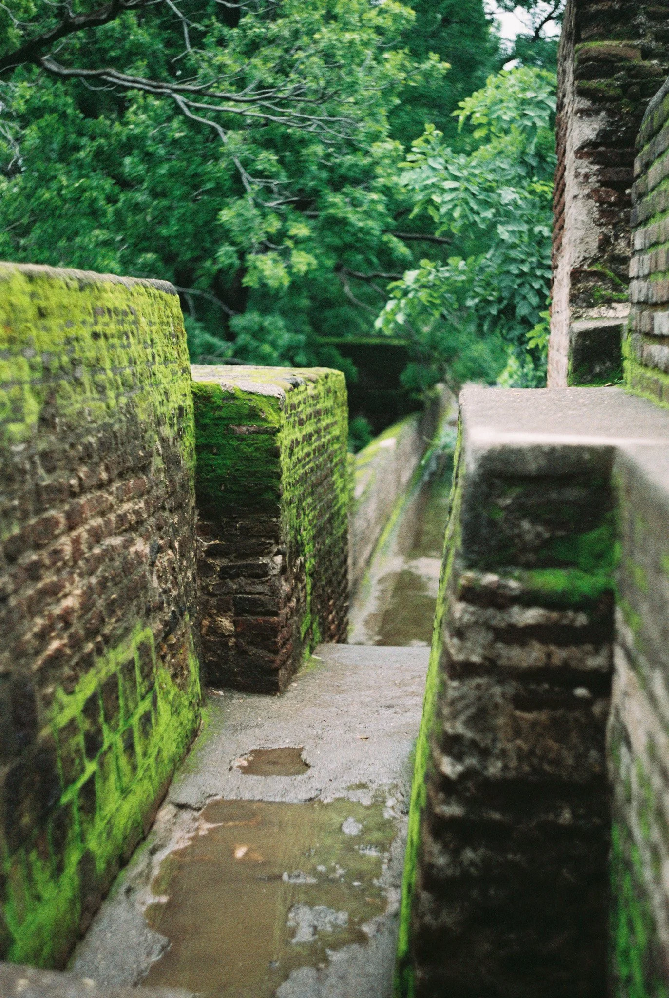 Indian wall view.jpg