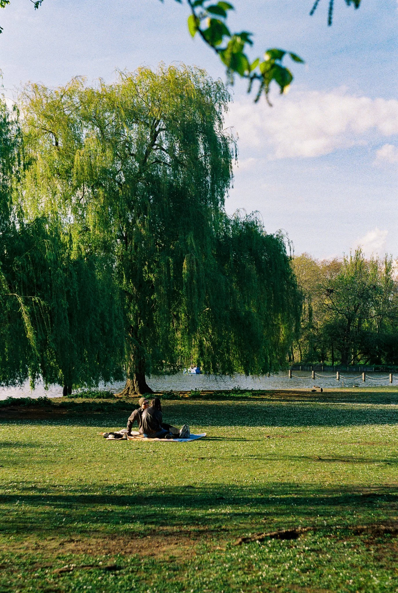 R1-01678-025A.jpg
