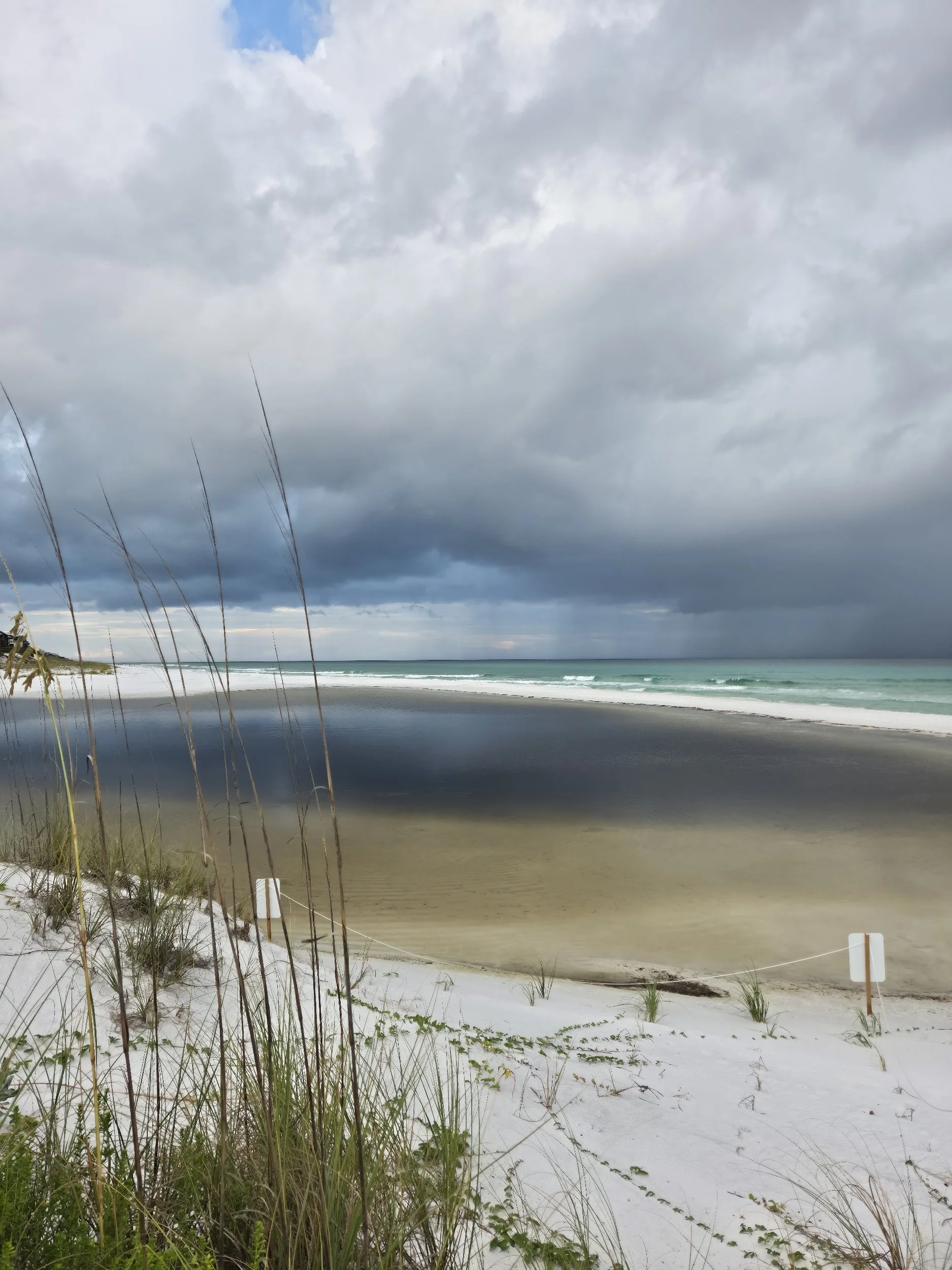White sandy beach with sea oats, calm turquoise waves, and dark storm clouds over the ocean
