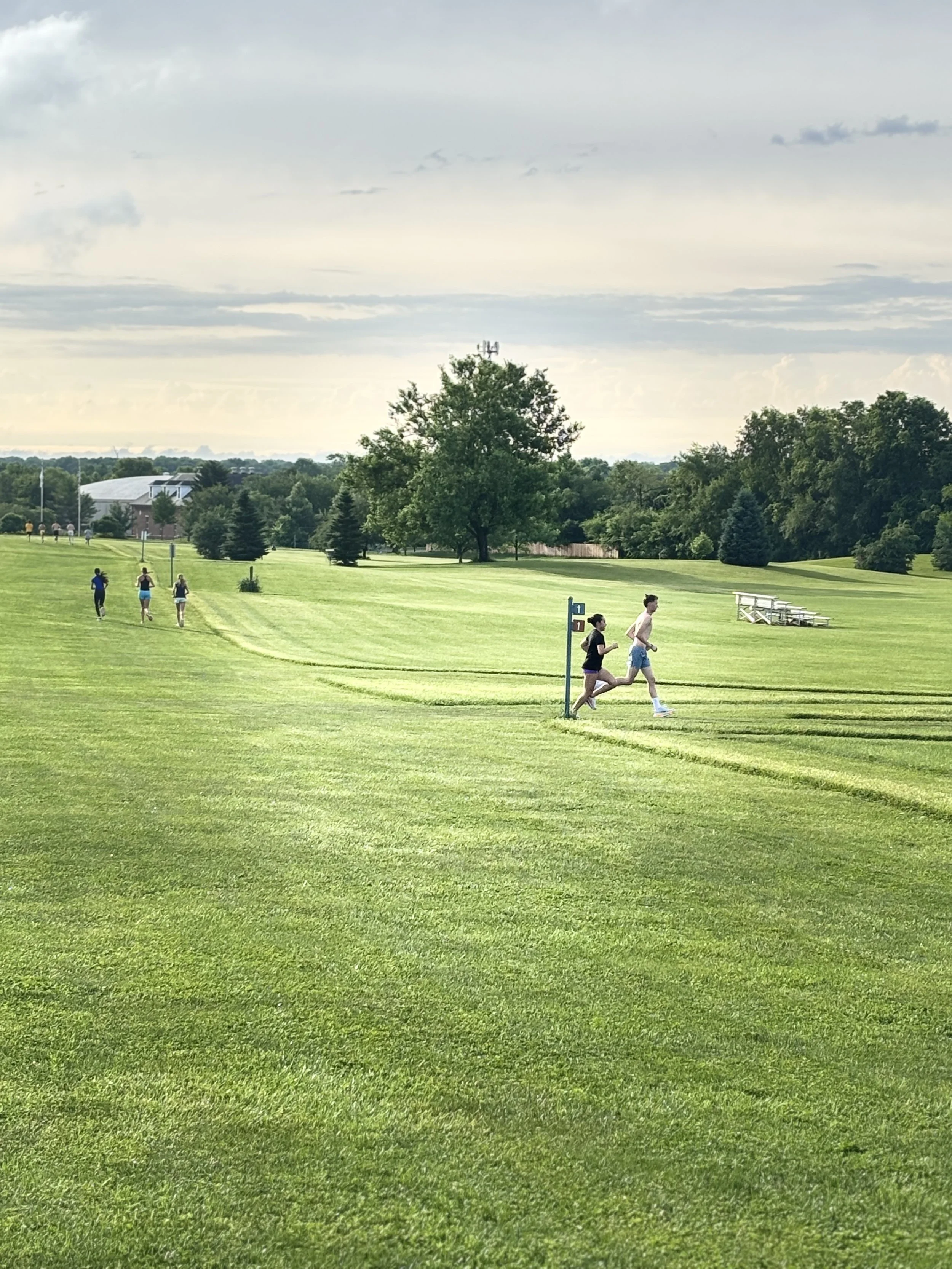 What Parents Should Look for in a Cross Country Coach Beyond the Team