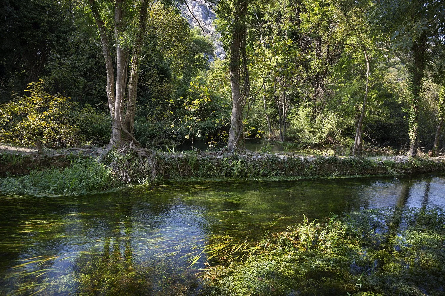 Dalmatia_Krka_09_040.jpg