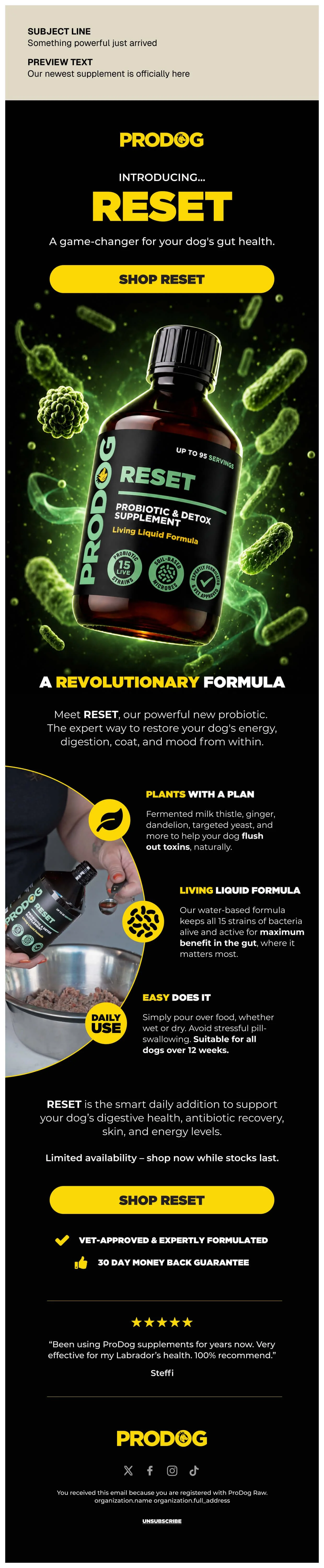 ProDog Email 3