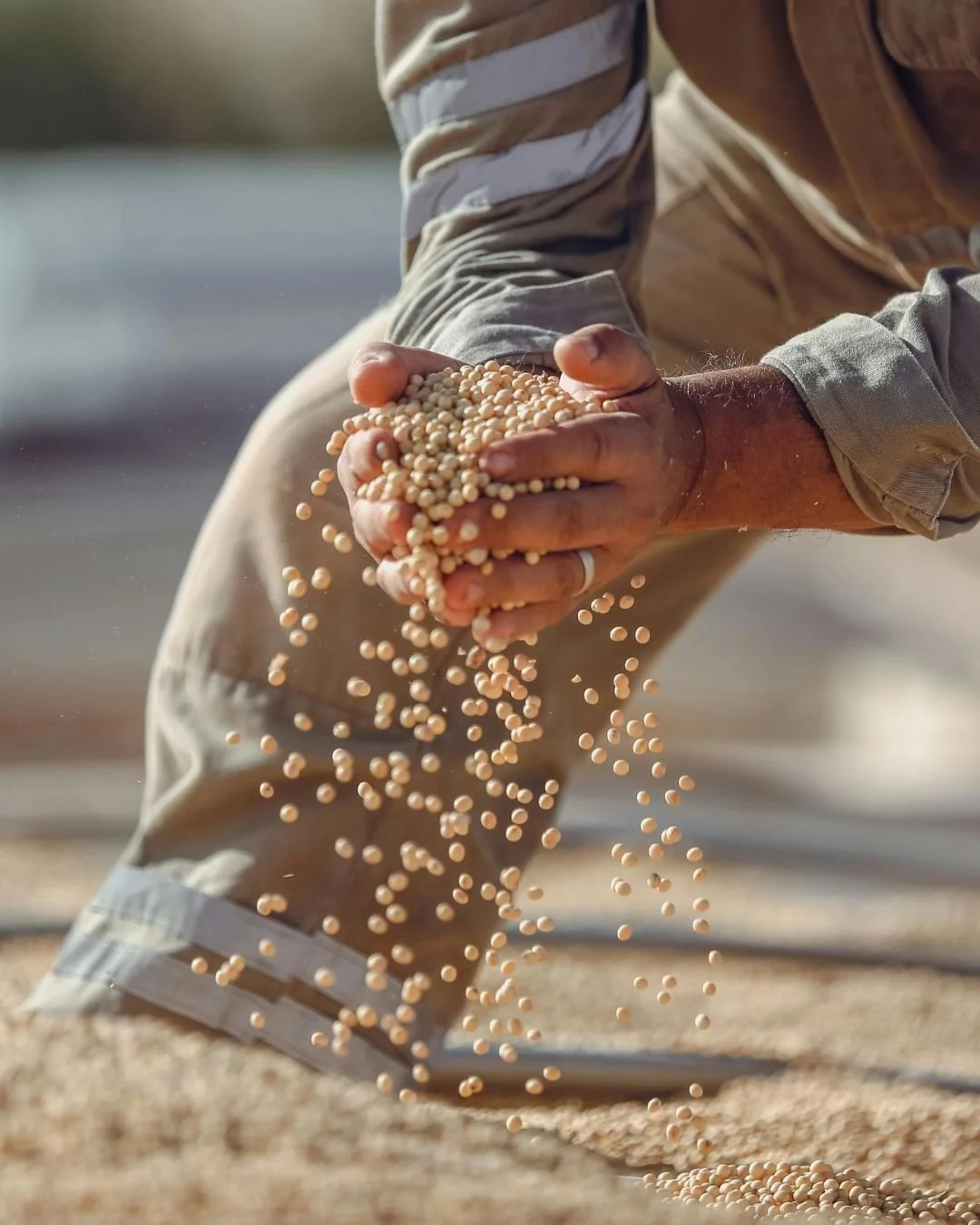 compra de safra antecipada de produtores agrícolas