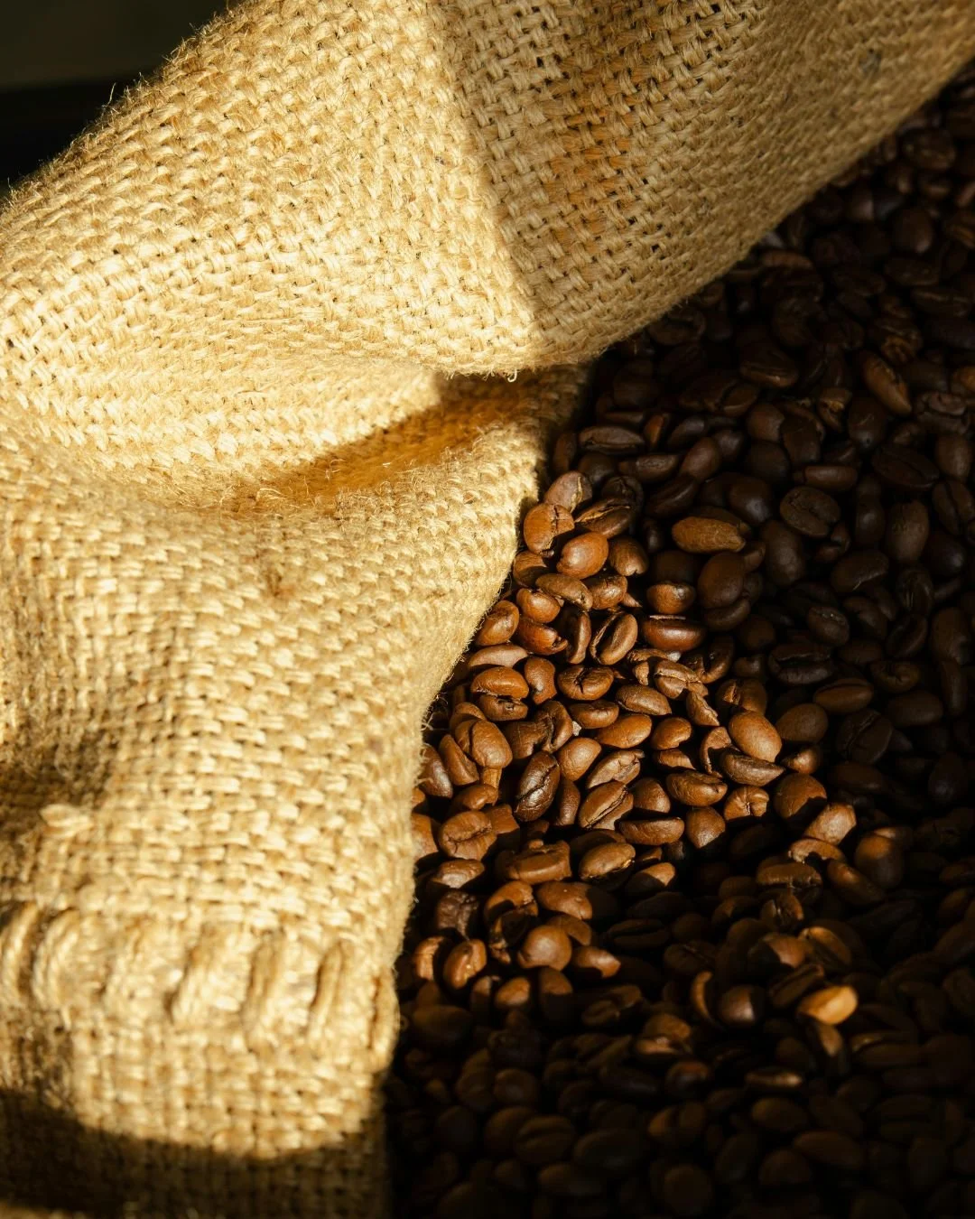 Exportação de café, milho, soja, açúcar, arroz