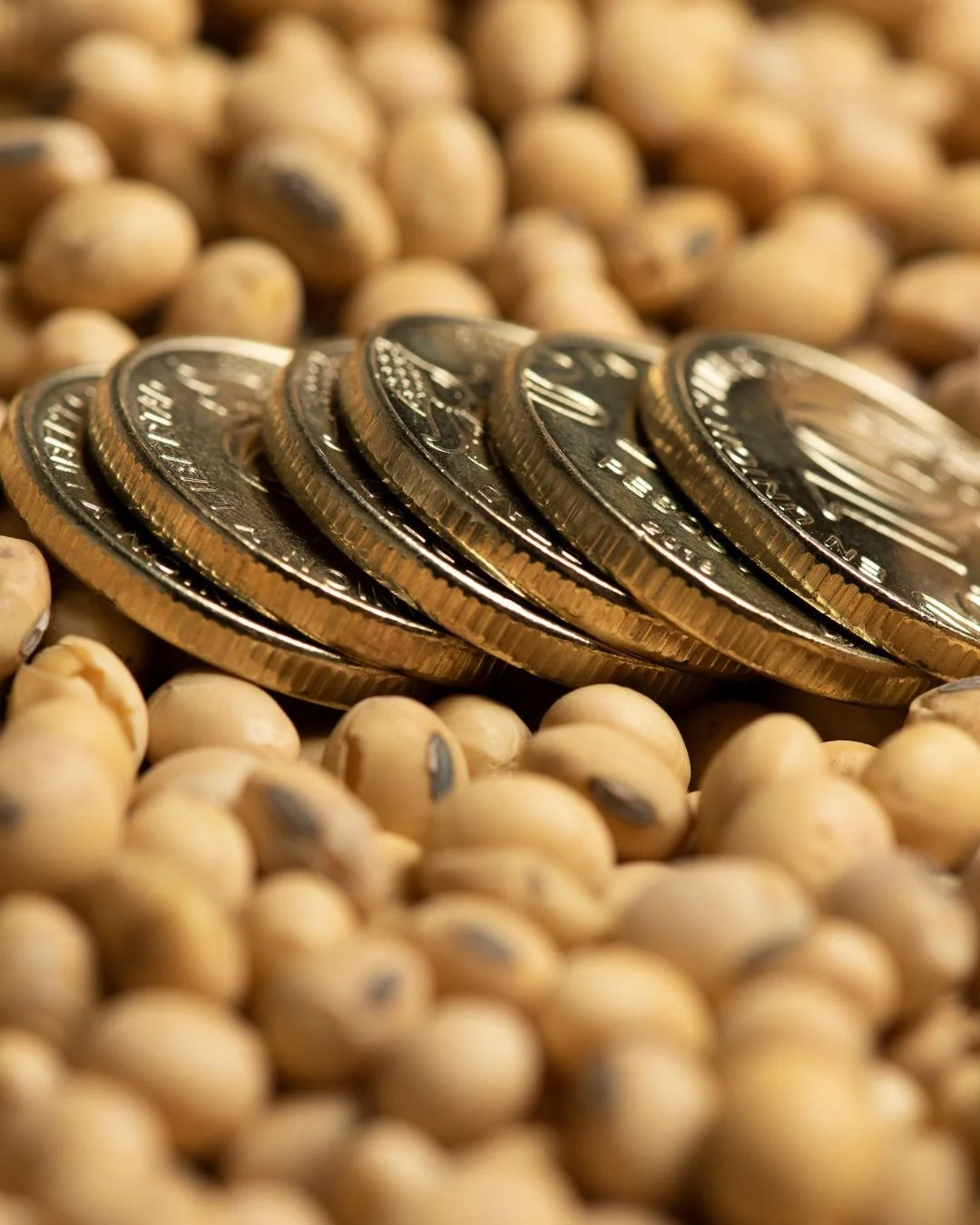 os melhores preços para quem compra commoditie agrícola