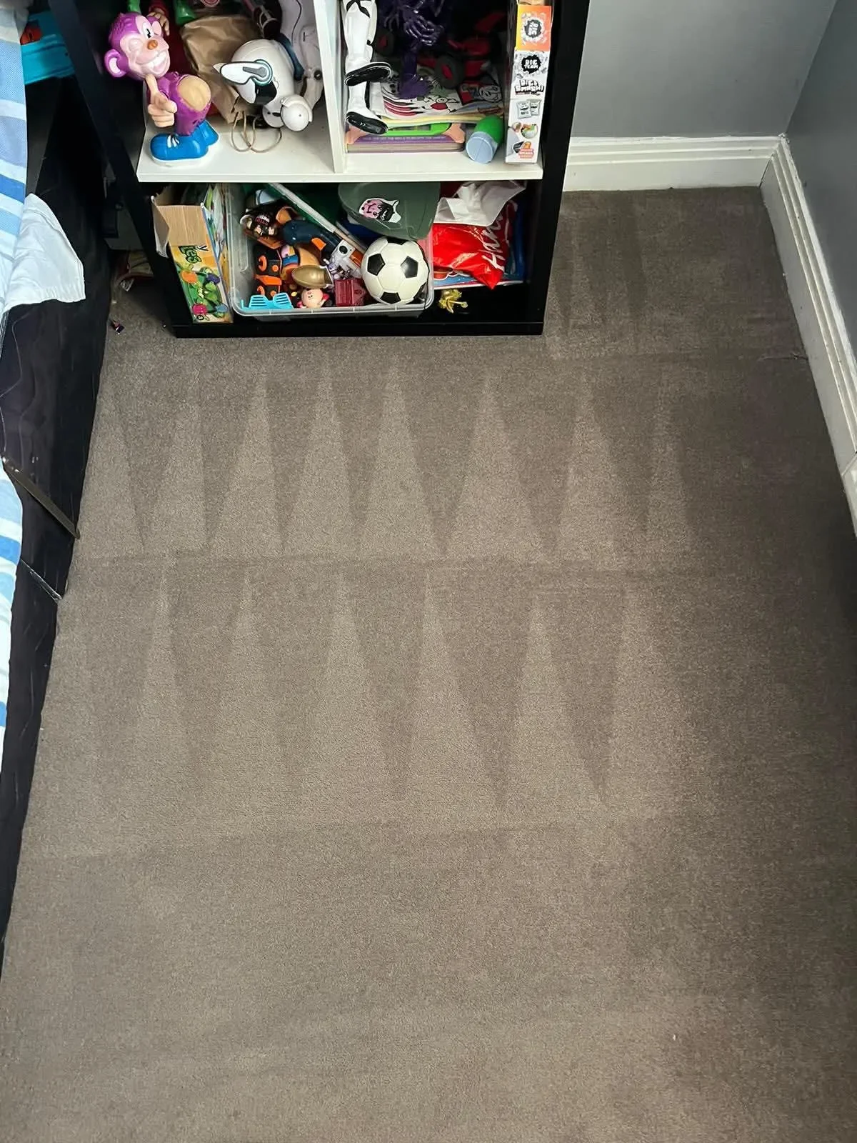 carpet cleaning to new