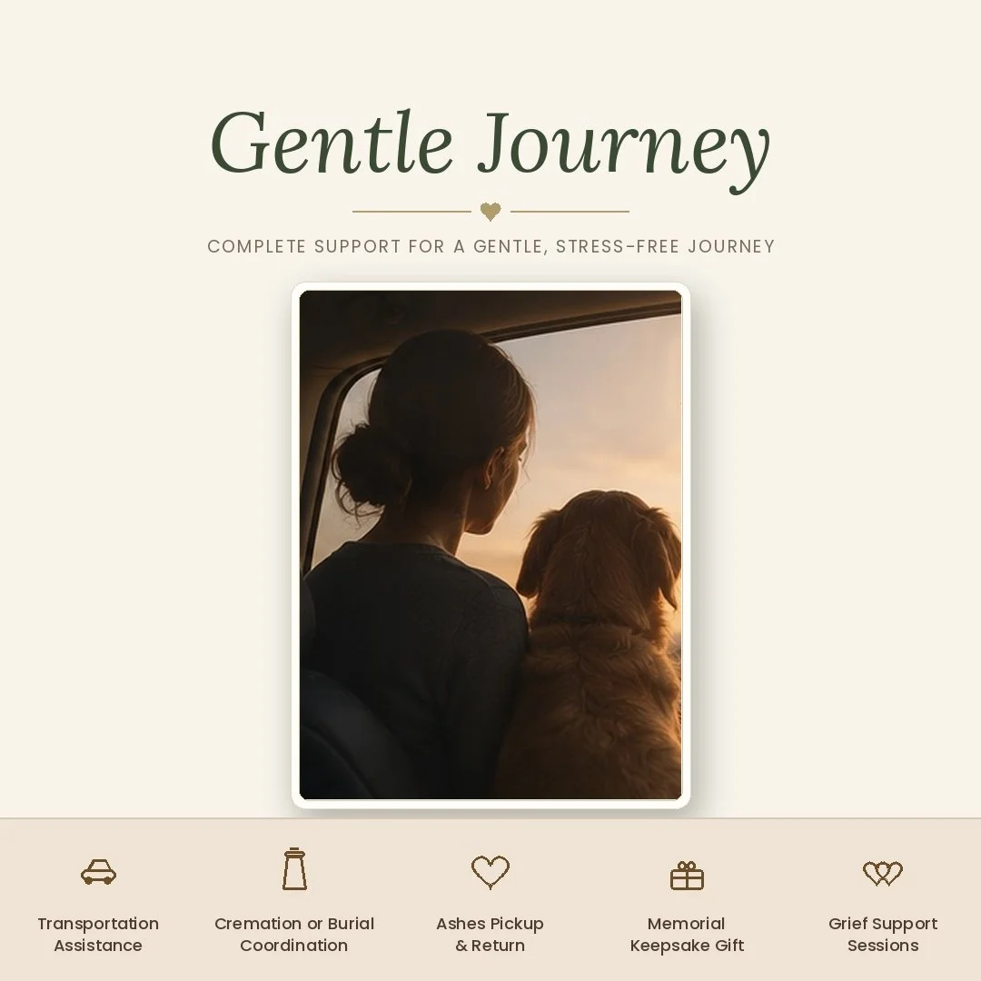 Gentle Journey