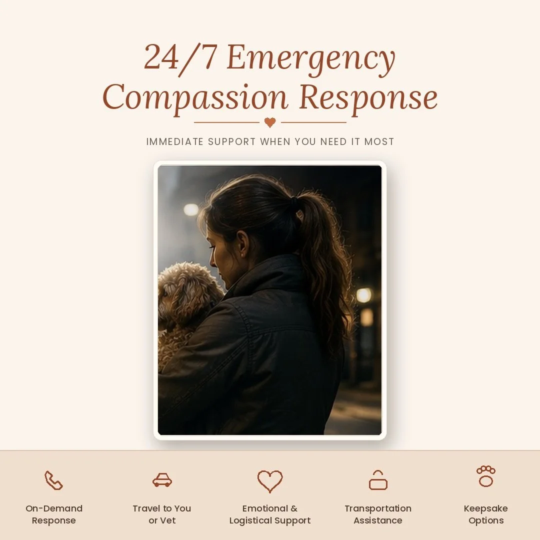 24/7 Emergency Compassion Response