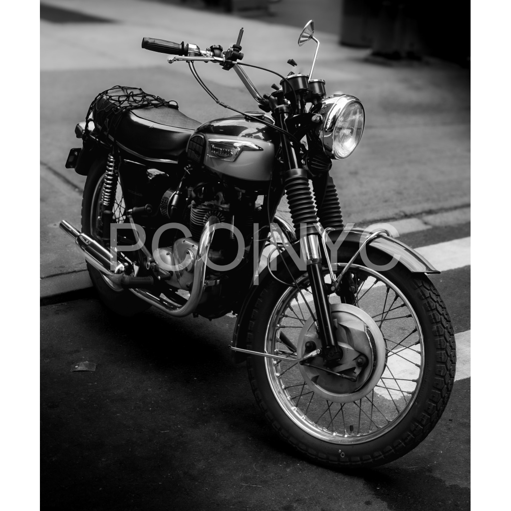 Triumph Head