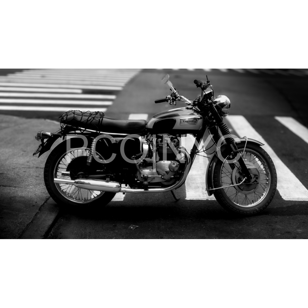 Triumph Pro