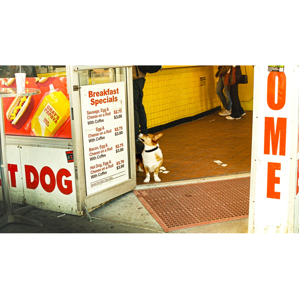 Dogs <3 Dogs