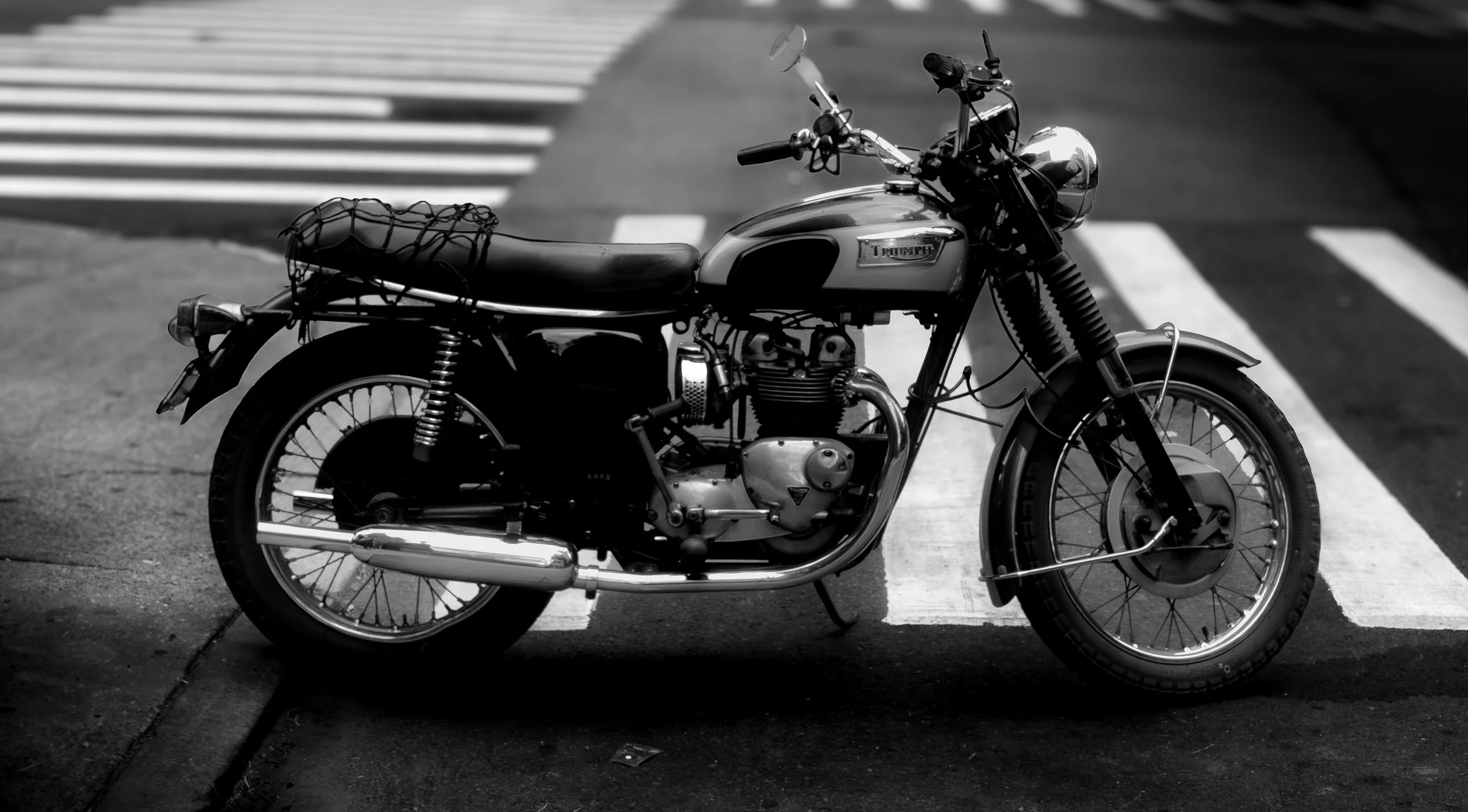 Triumph Pro