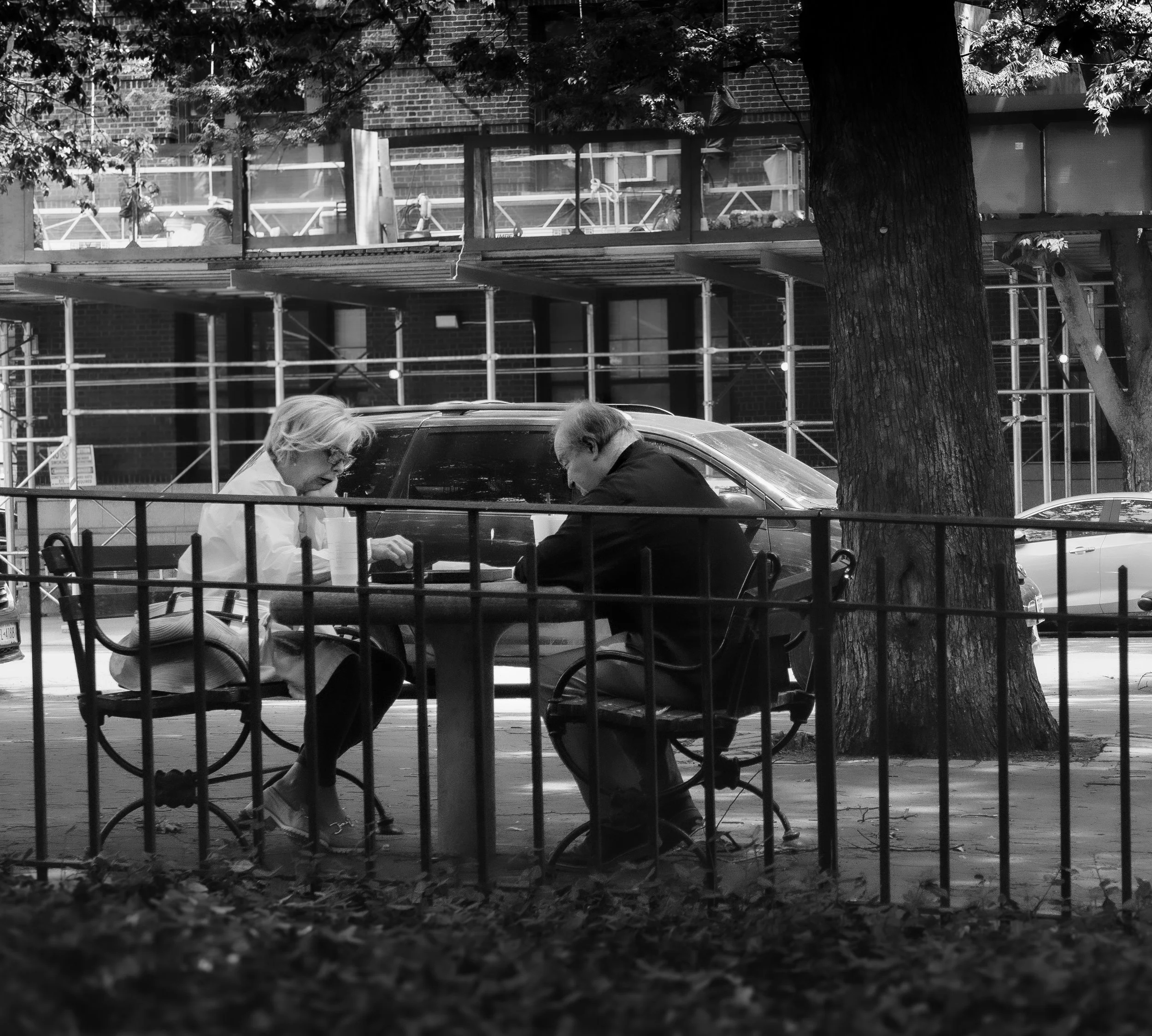 Young Love
