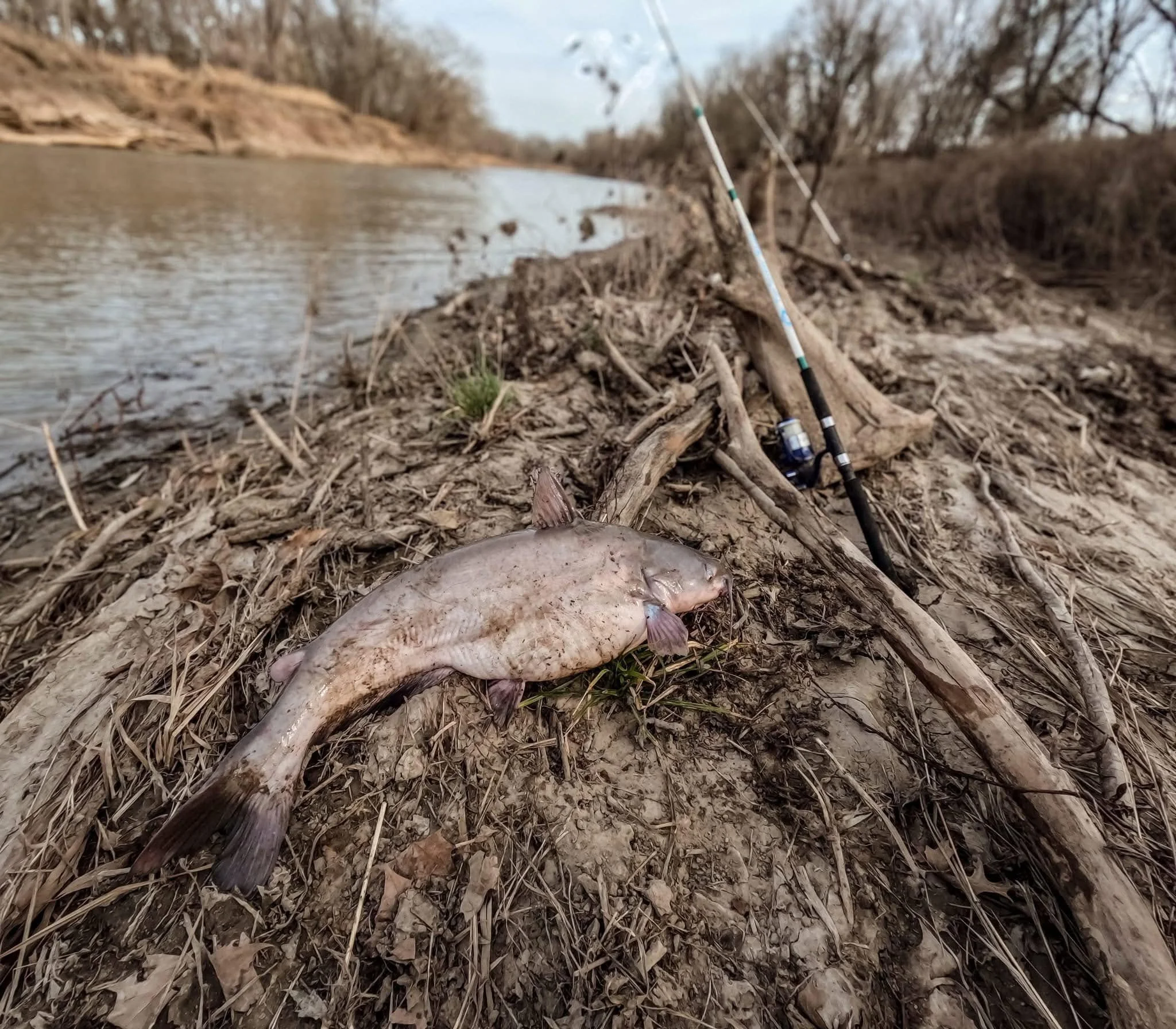 494482799_1267174278744081_7064585512788529053_n.jpg