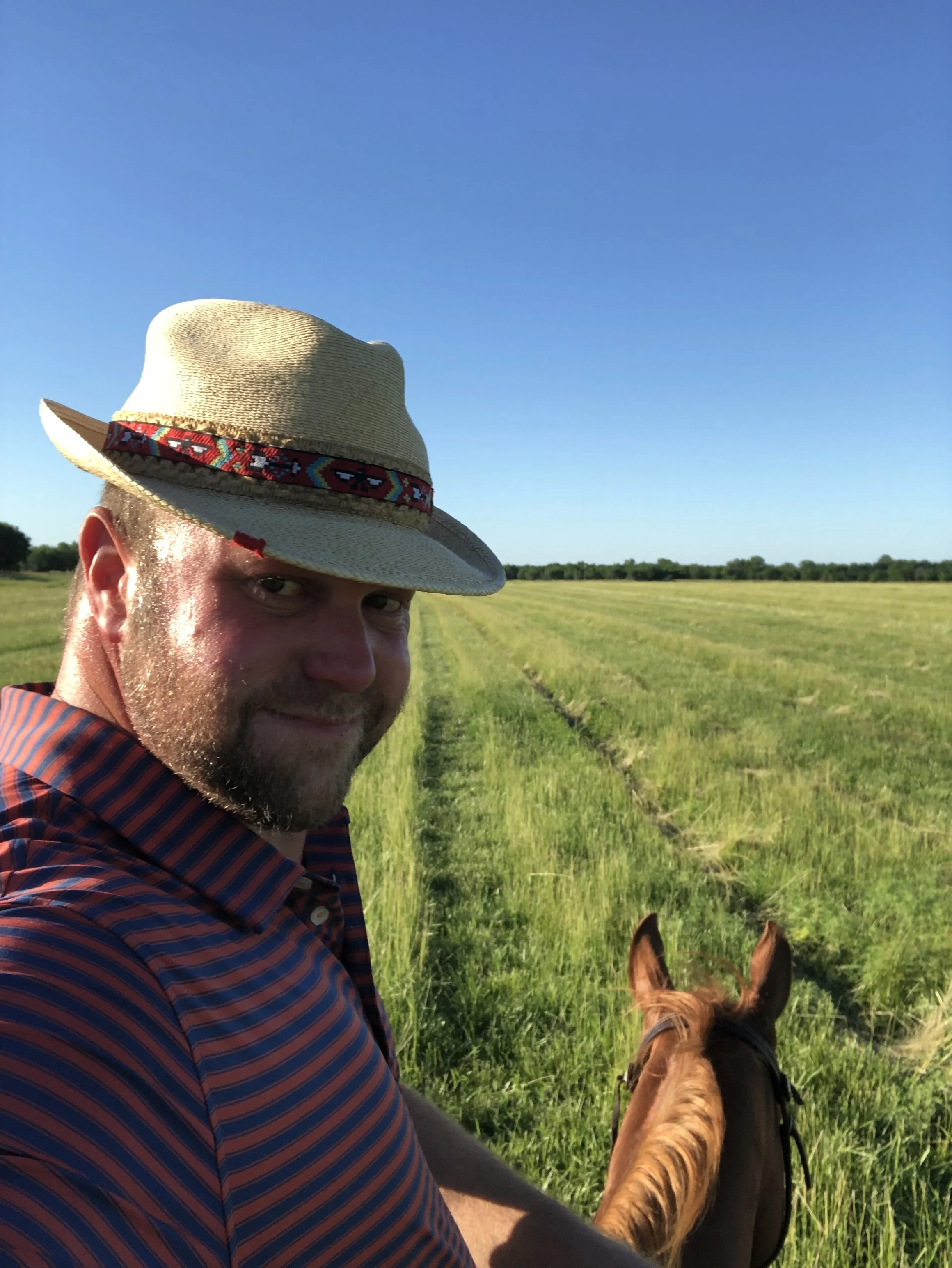 A man wearing a striped shirt and a straw cowboy hat is riding a horse in a green field on a sunny day with clear blue skies.