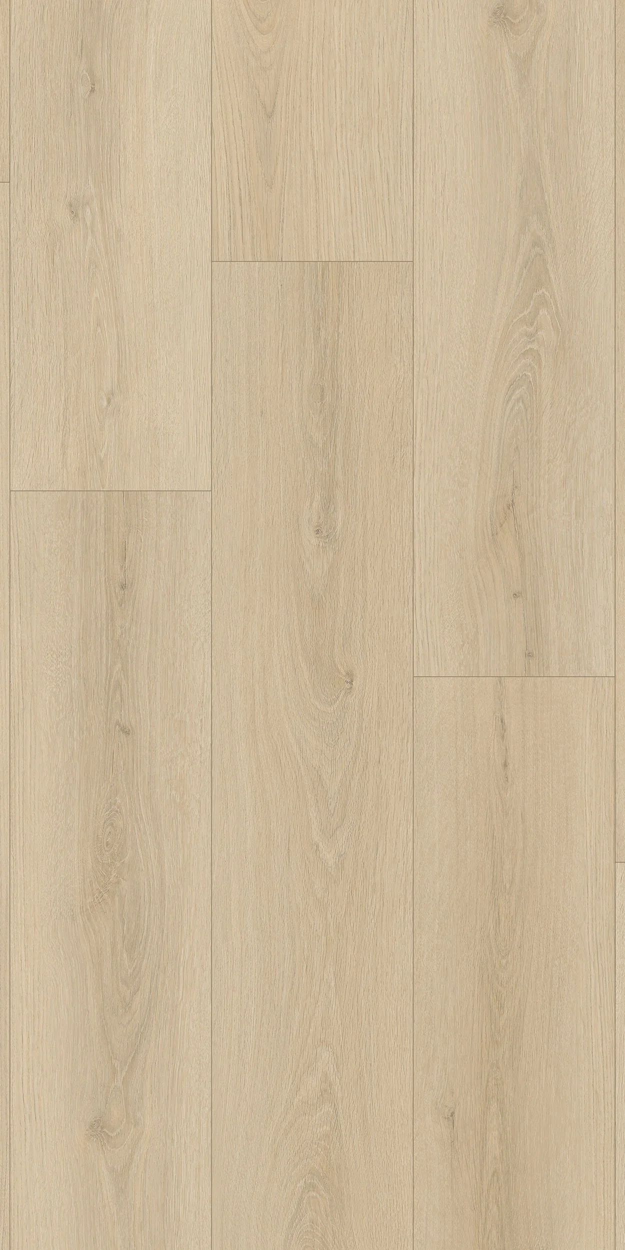 SAND STONE